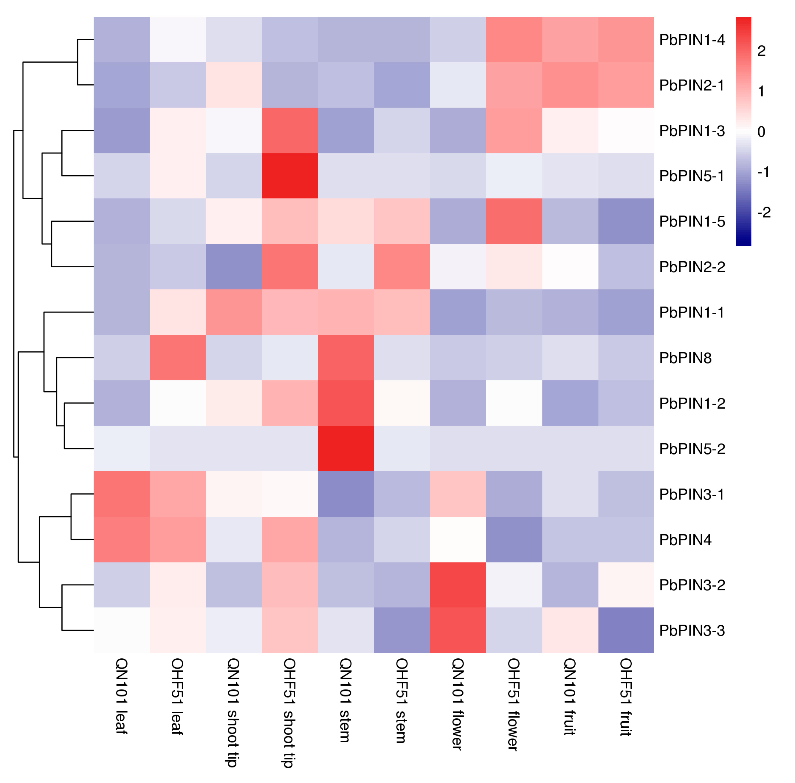 Plants 09 00349 g005 Plants 09 00349 g005