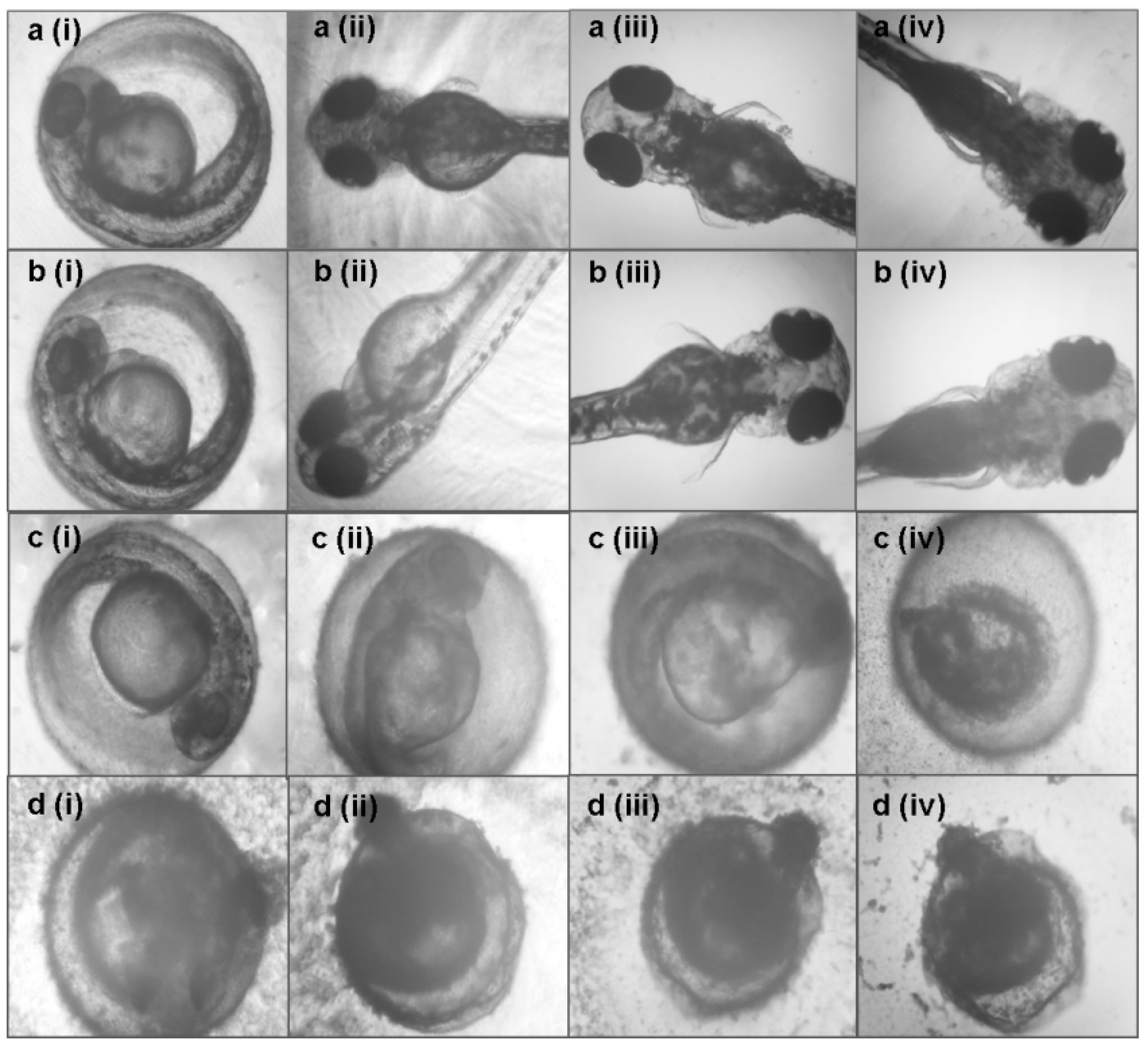 Plants 09 00352 g007 Plants 09 00352 g007