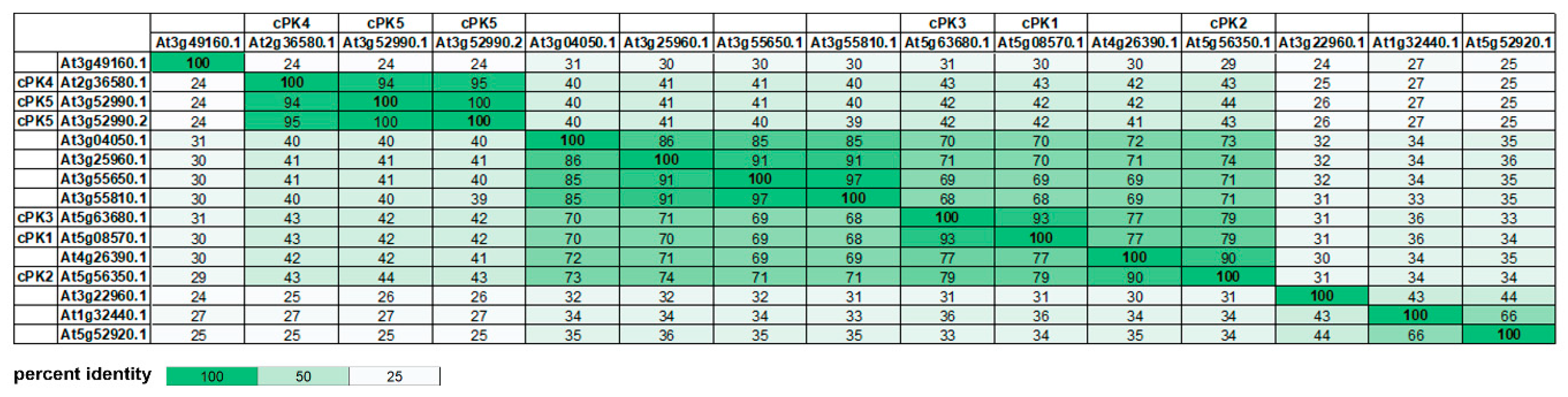 Plants Free Full Text Transcriptional And Biochemical Characterization Of Cytosolic Pyruvate Kinases In Arabidopsis Thaliana Html