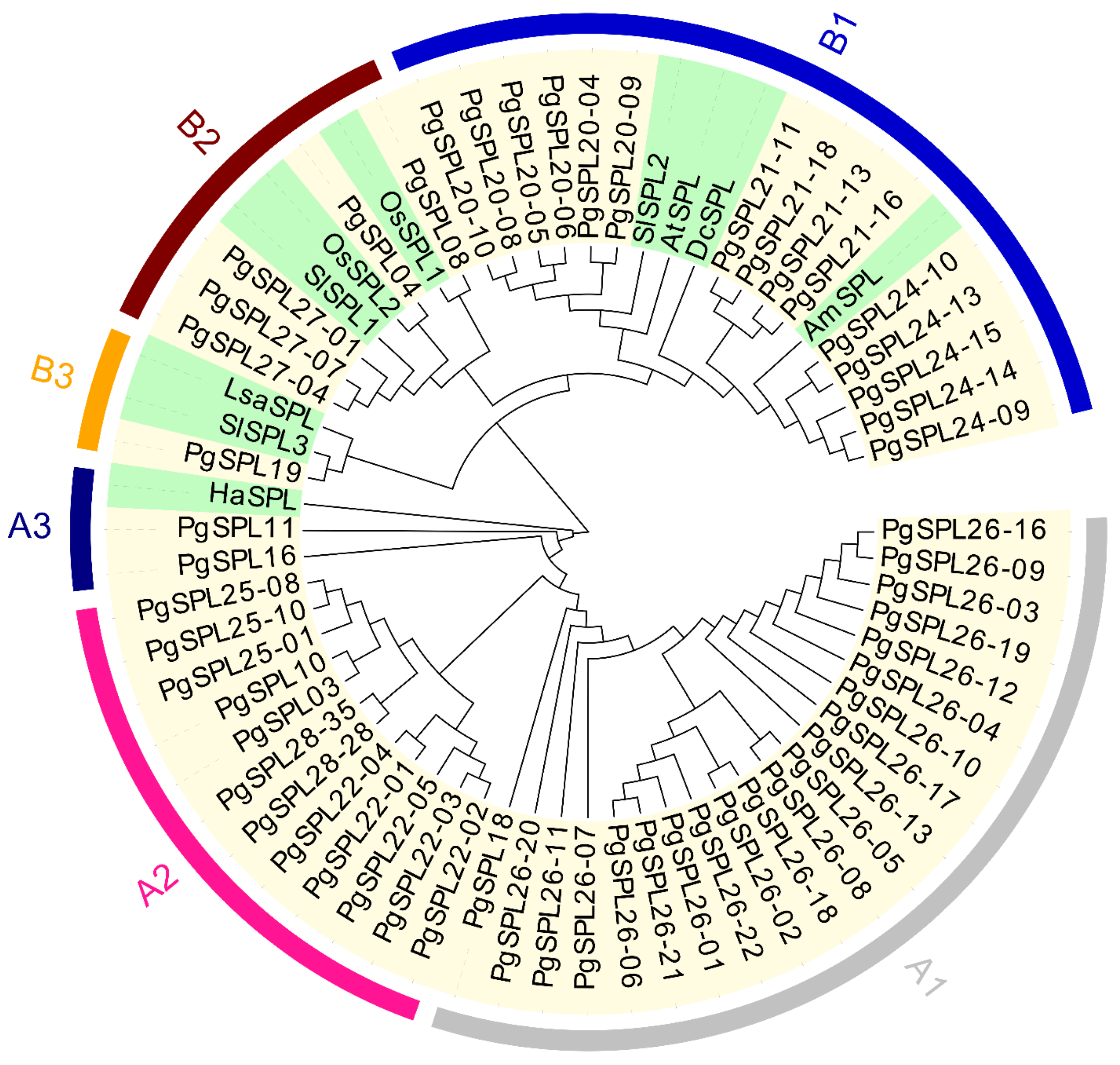 Plants 09 00354 g002