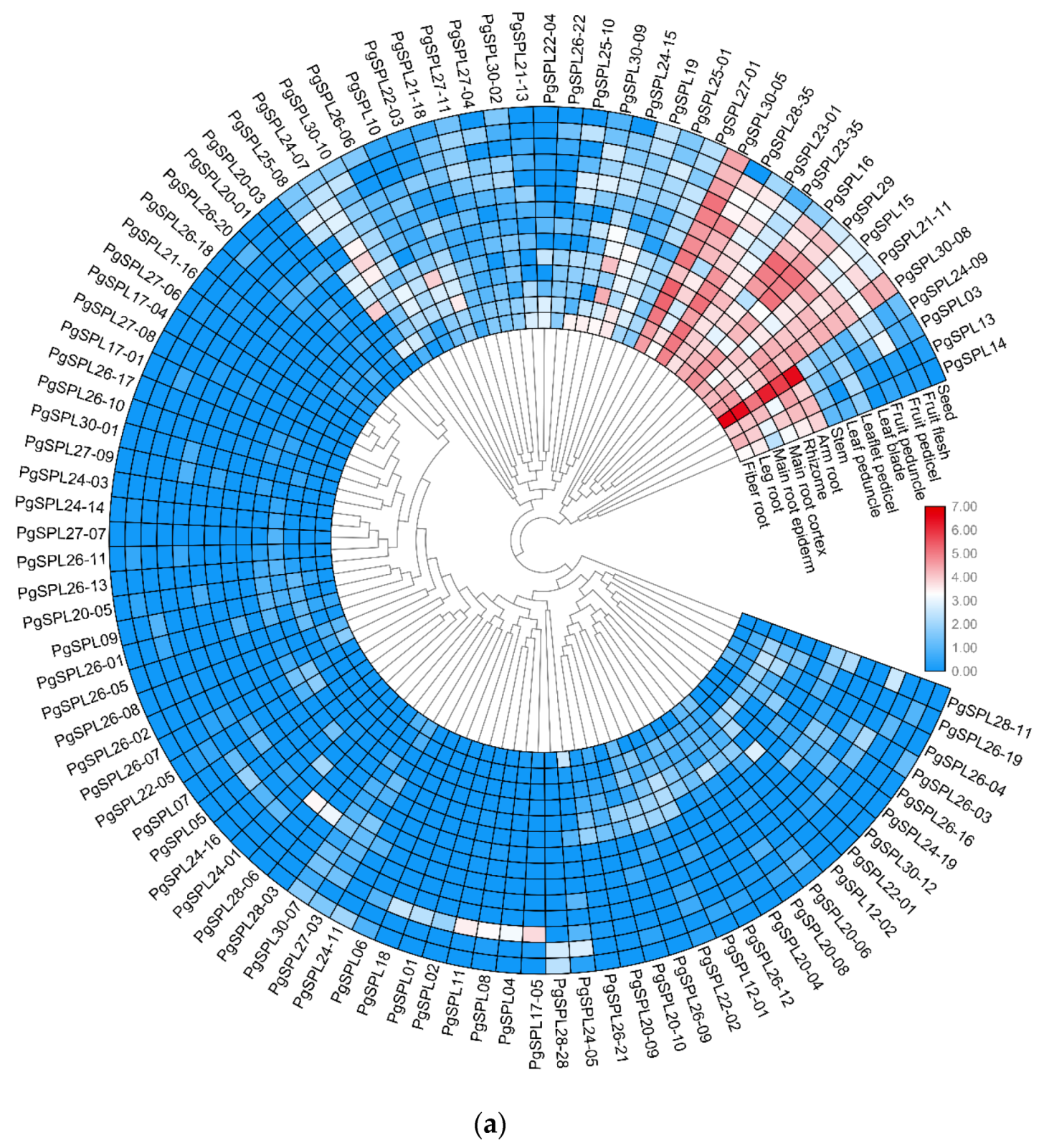 Plants 09 00354 g008a
