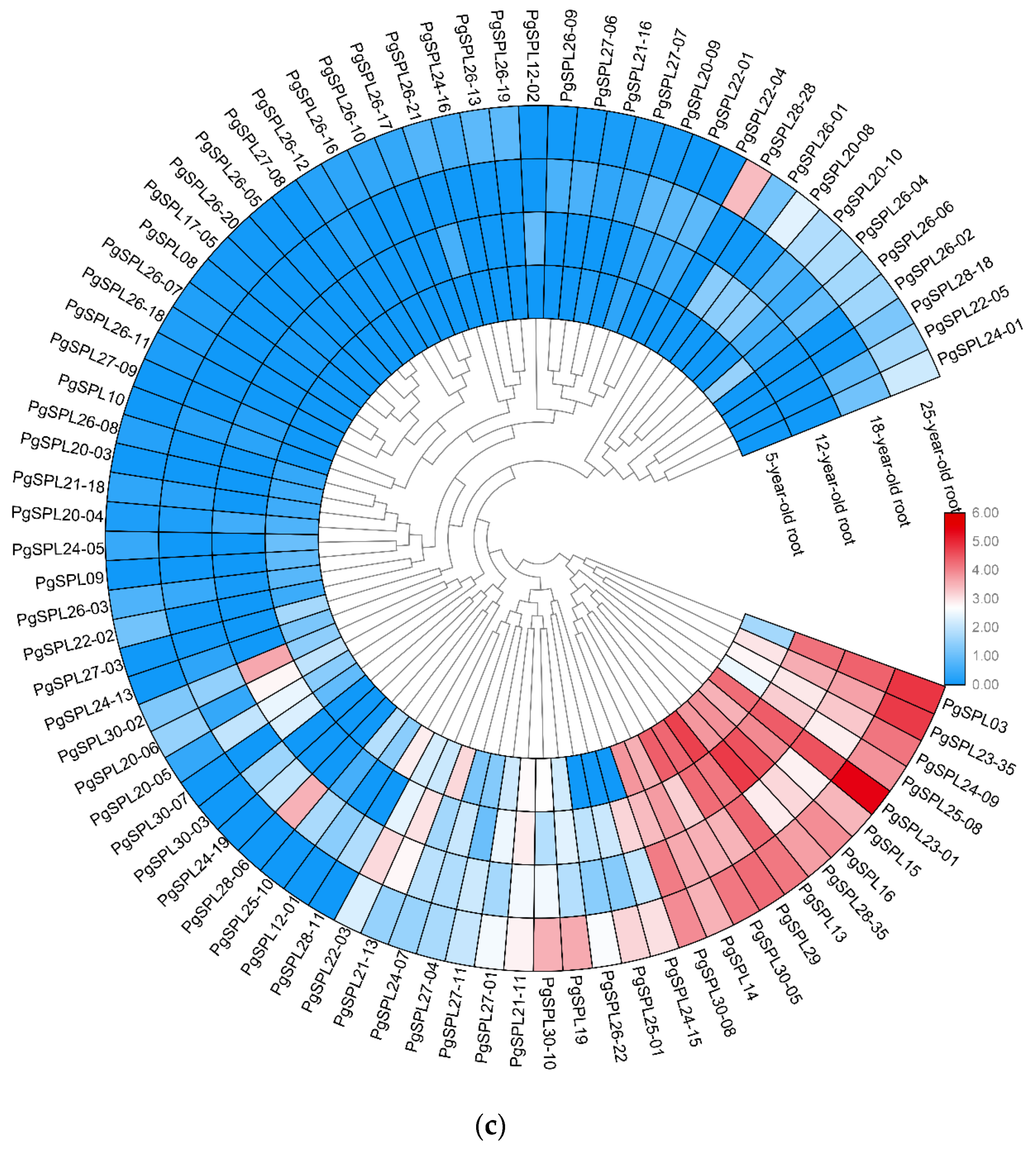 Plants 09 00354 g008c