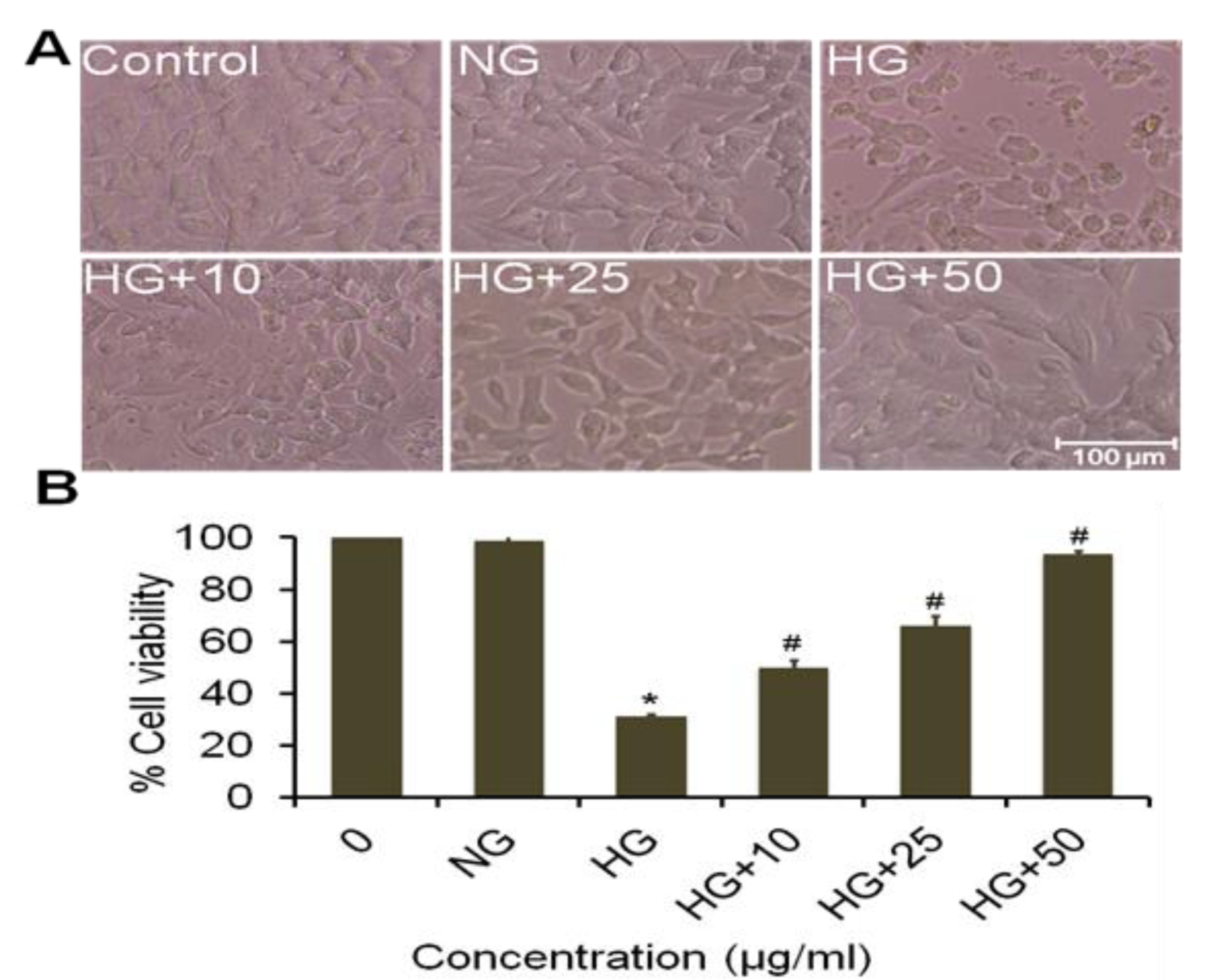 Plants 09 00356 g002