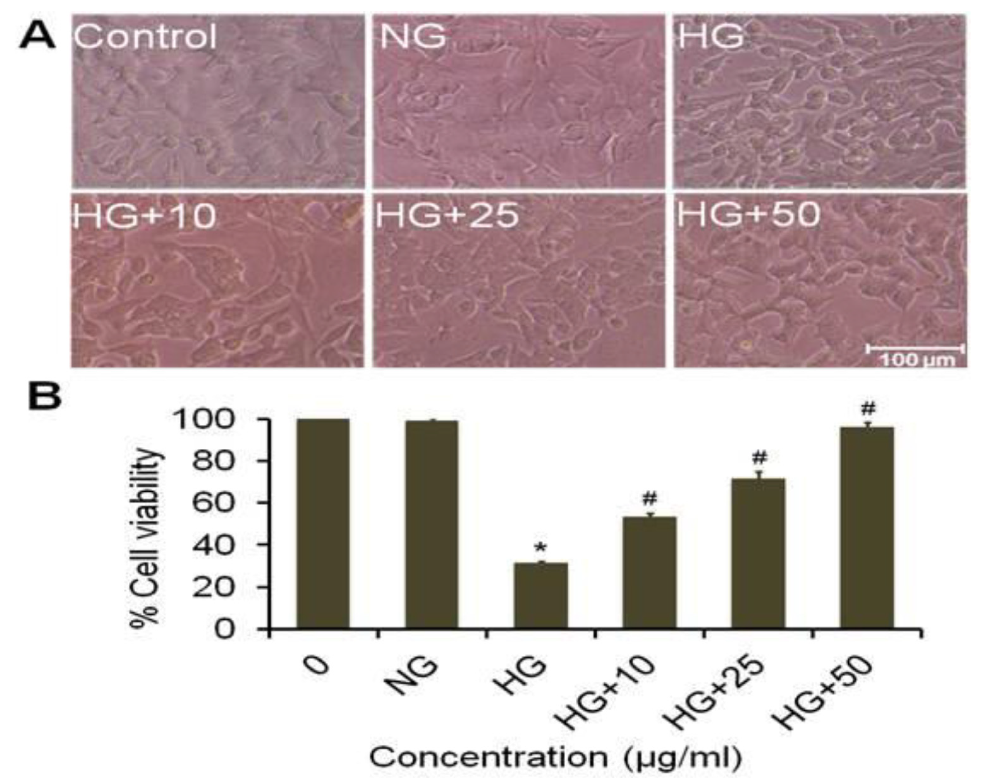 Plants 09 00356 g003