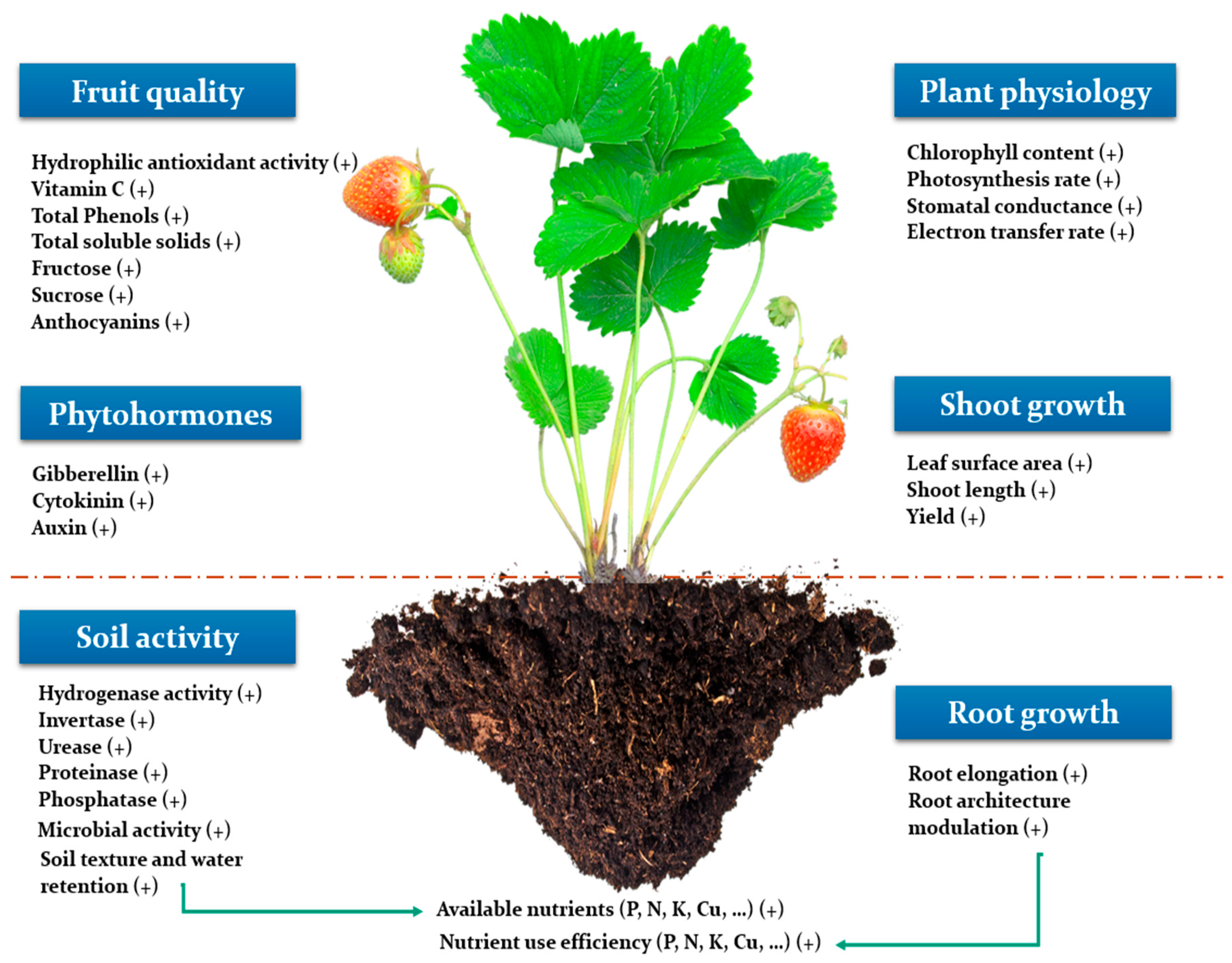 Plants 09 00359 g002