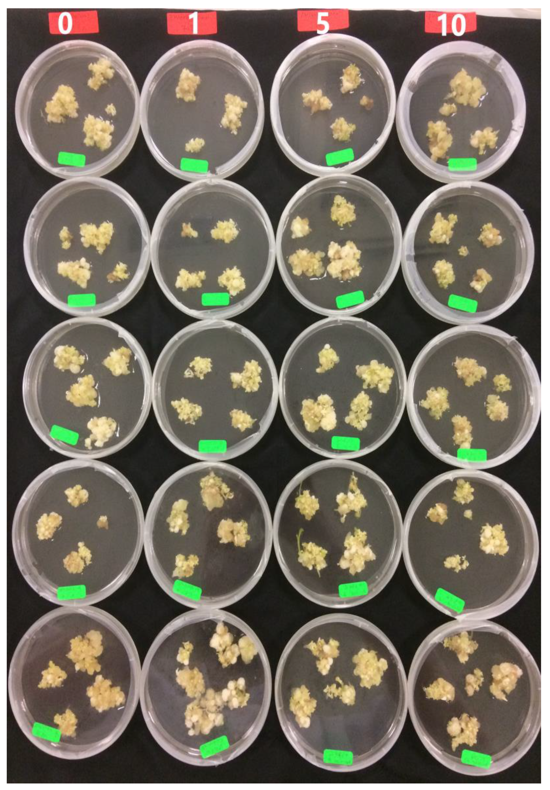 Plants 09 00360 g006