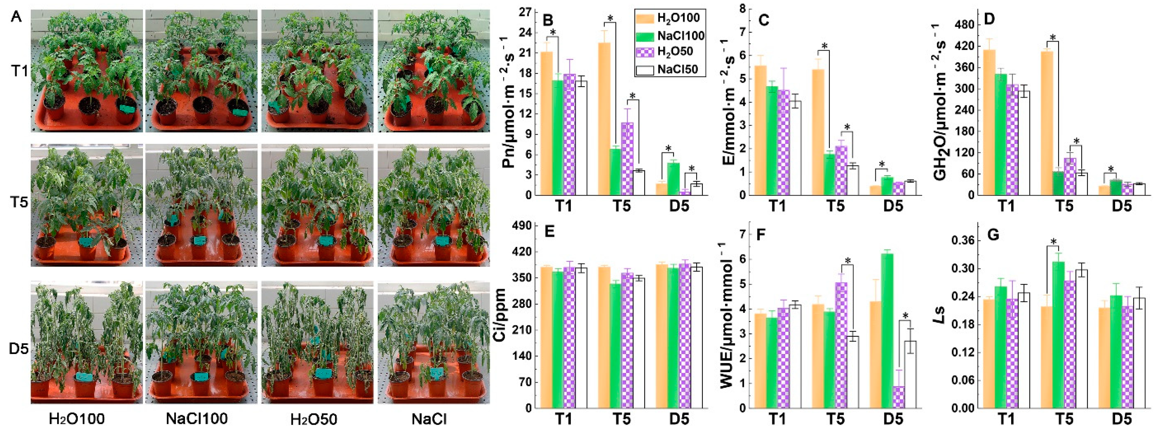 Plants 09 00363 g001 Plants 09 00363 g001