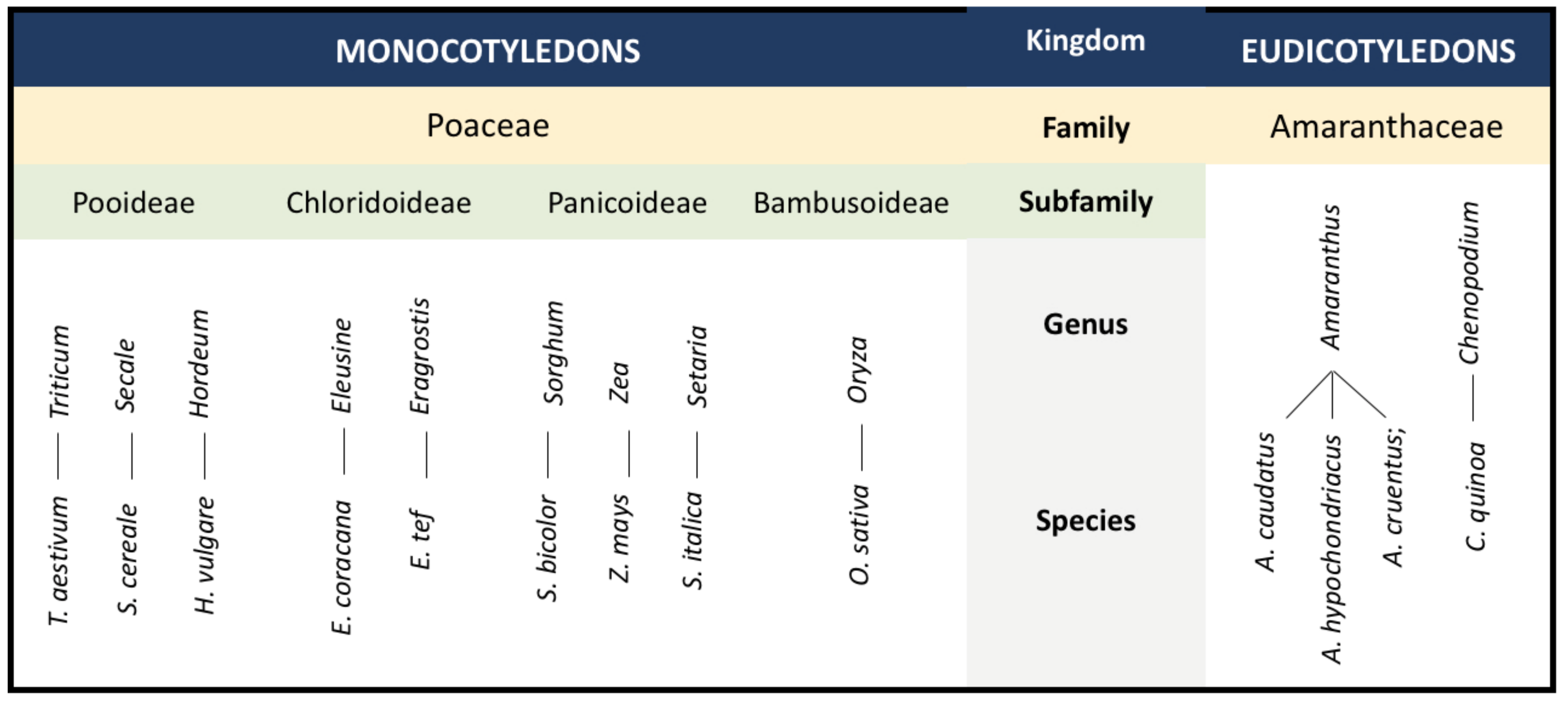 Plants 09 00365 g002