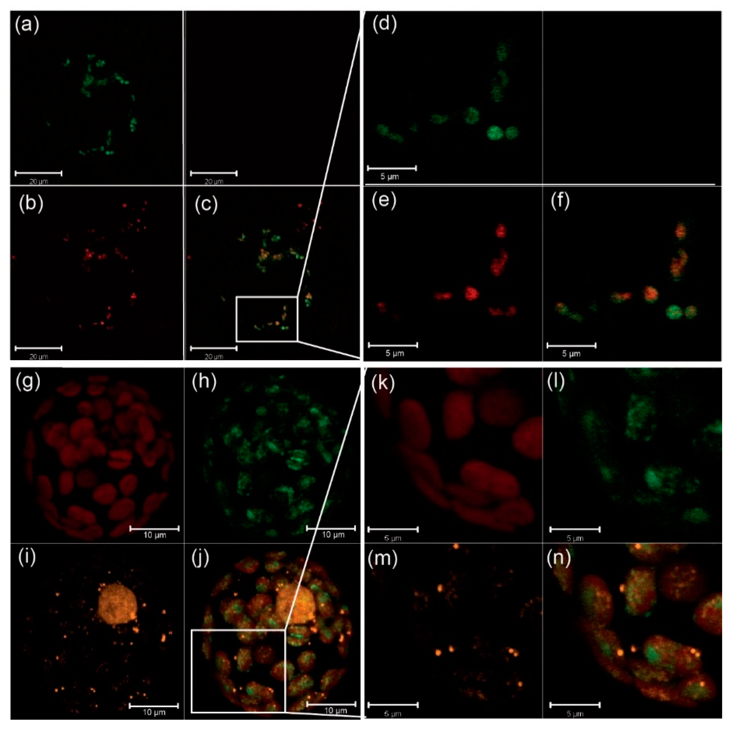 Plants 09 00367 g002