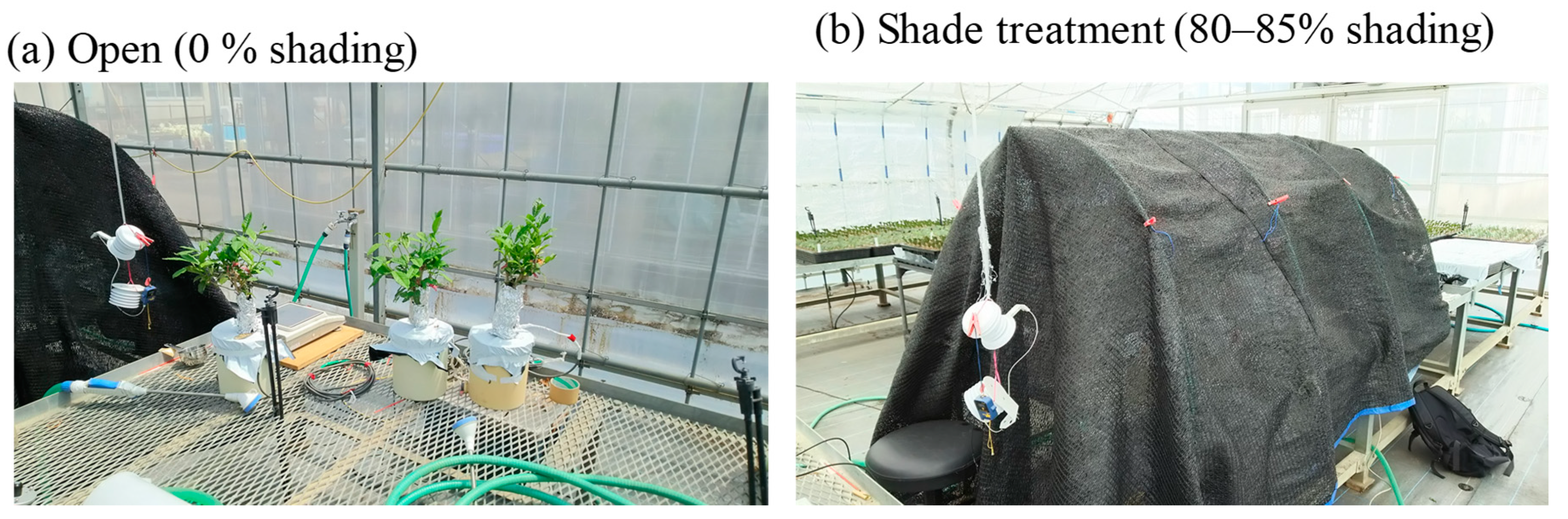 Plants 09 00368 g009