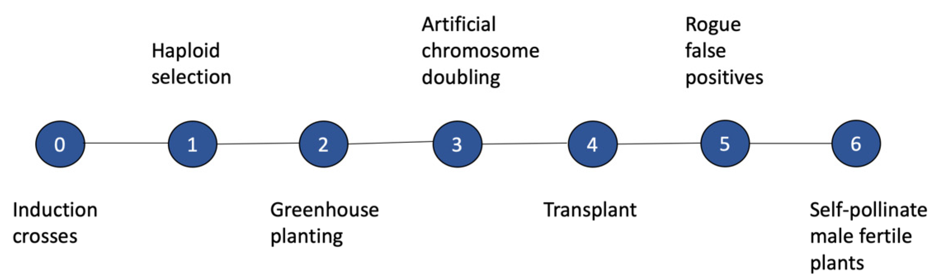 Plants 09 00369 g001