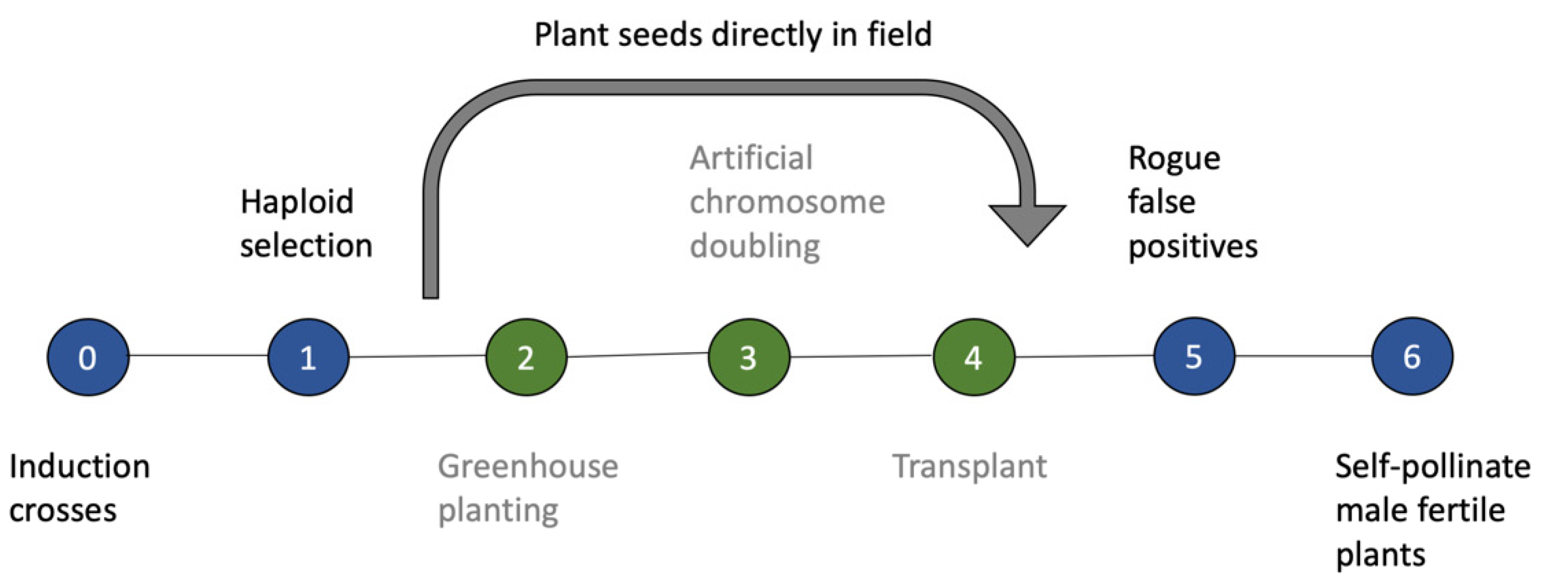 Plants 09 00369 g003