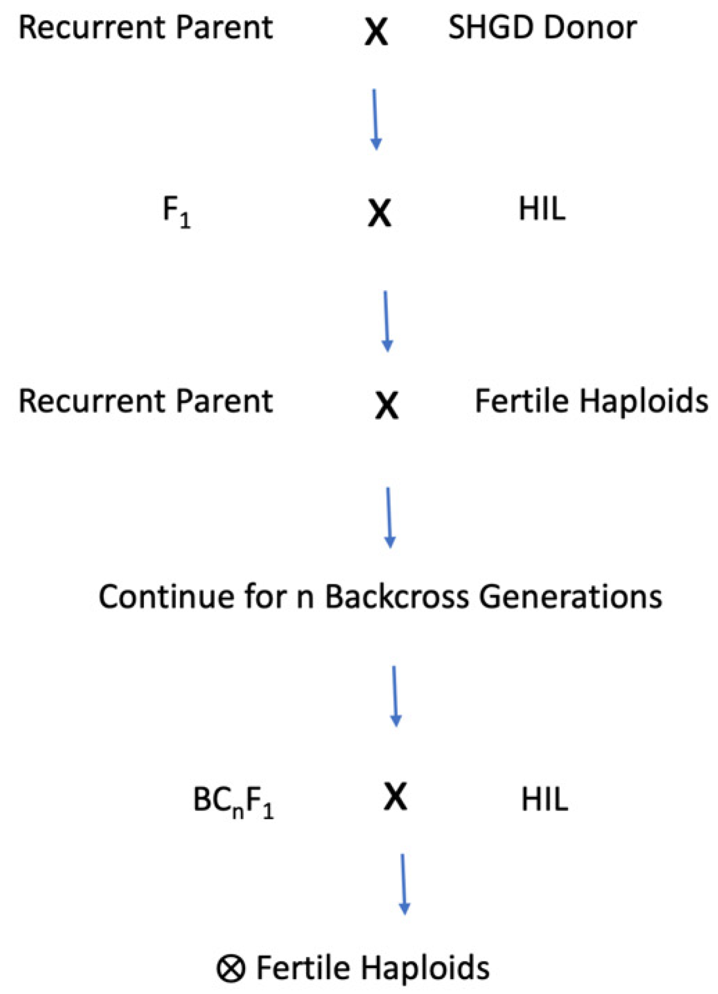 Plants 09 00369 g004