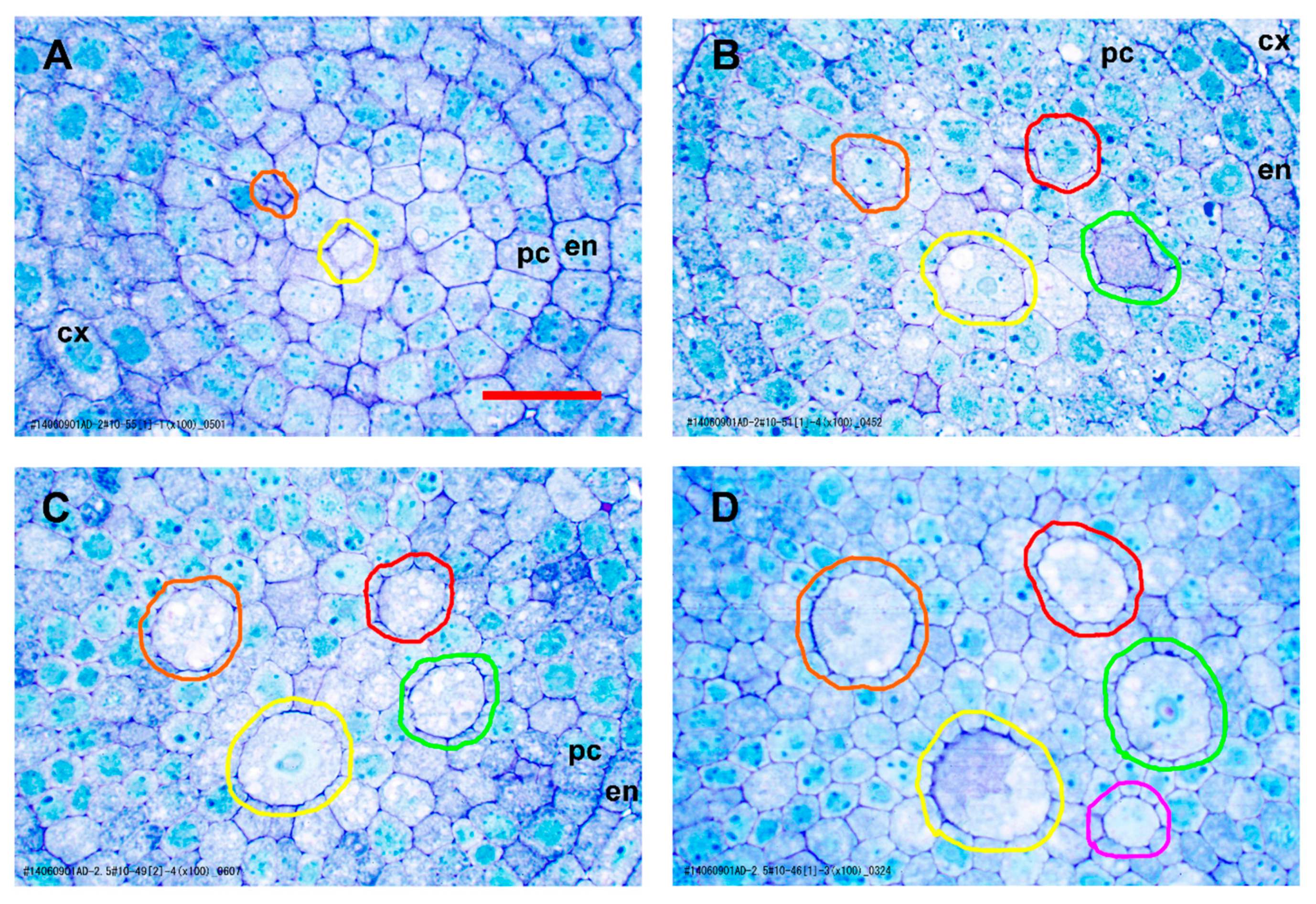 Plants 09 00374 g003