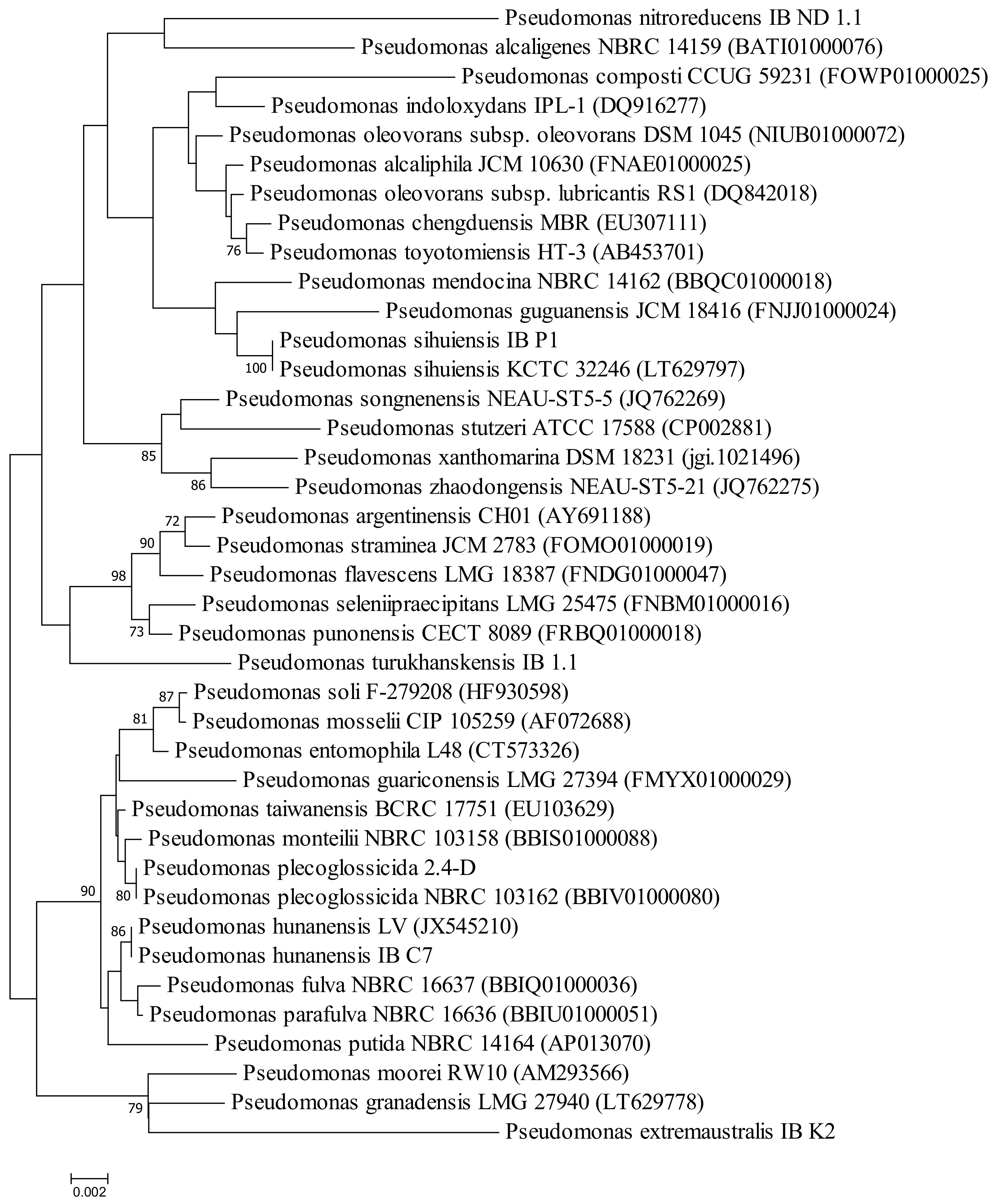 Plants 09 00379 g002