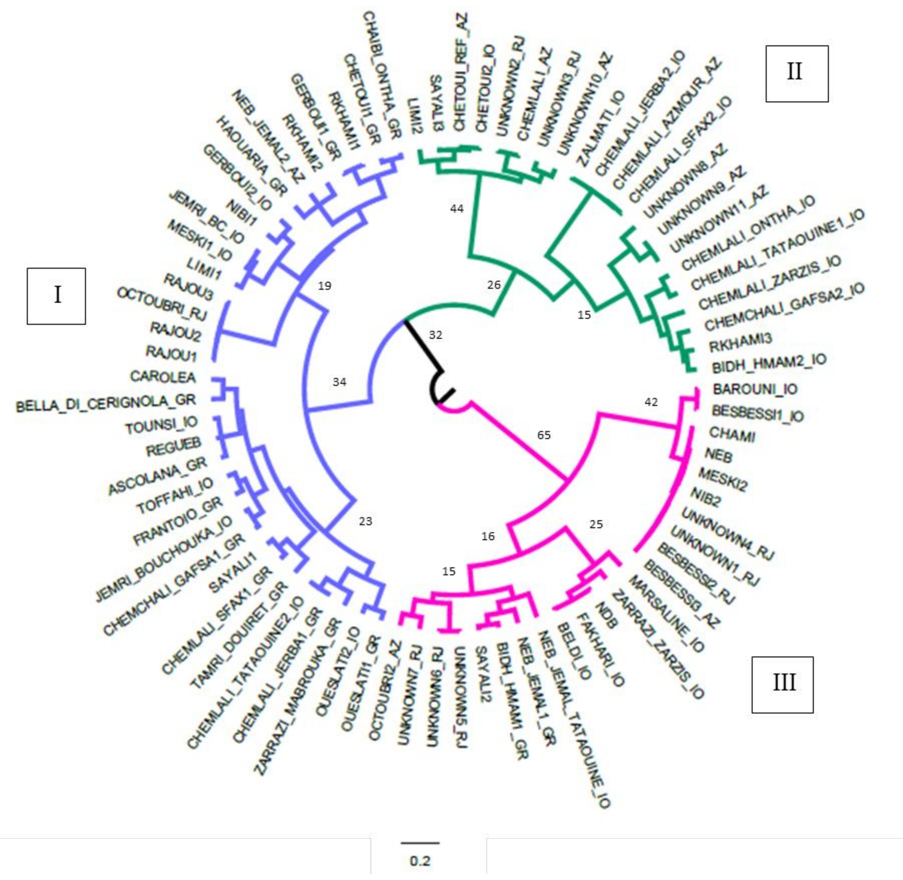 Plants 09 00382 g002