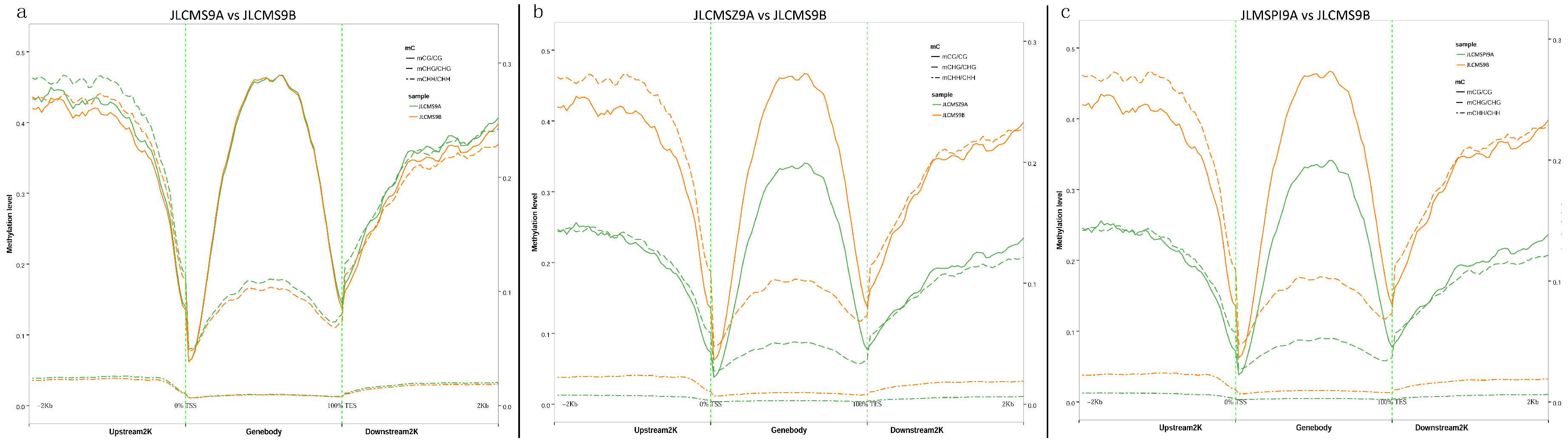Plants 09 00385 g001