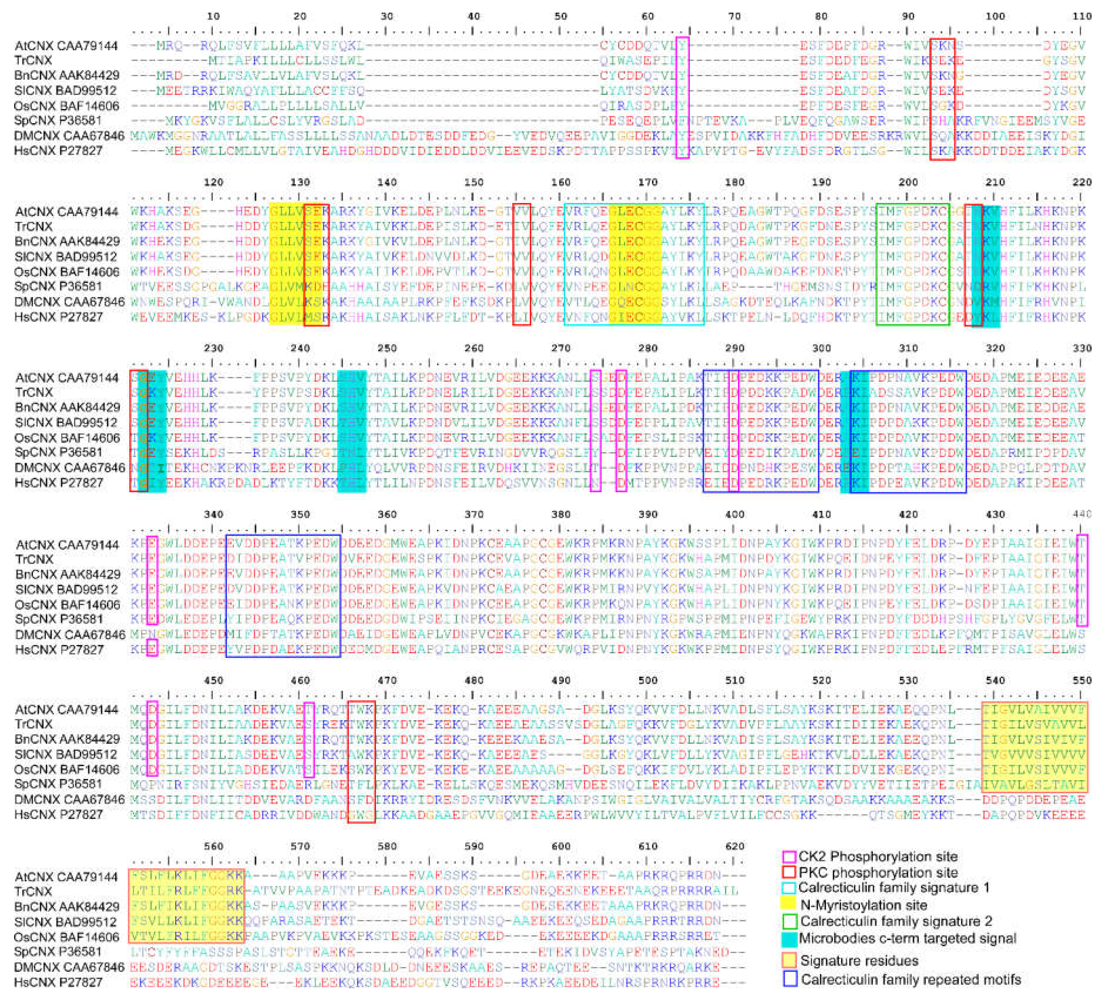 Plants 09 00387 g002