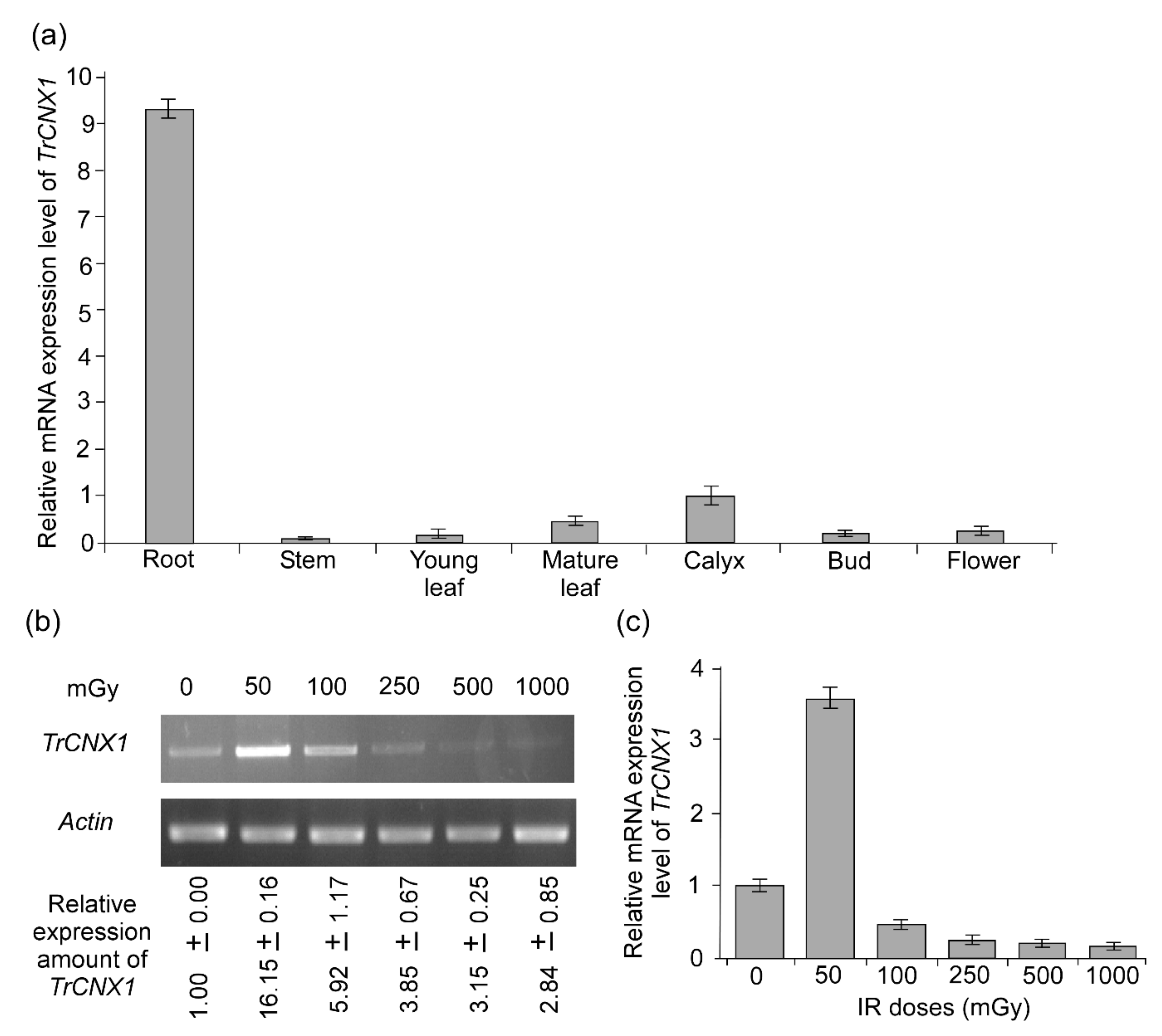 Plants 09 00387 g004
