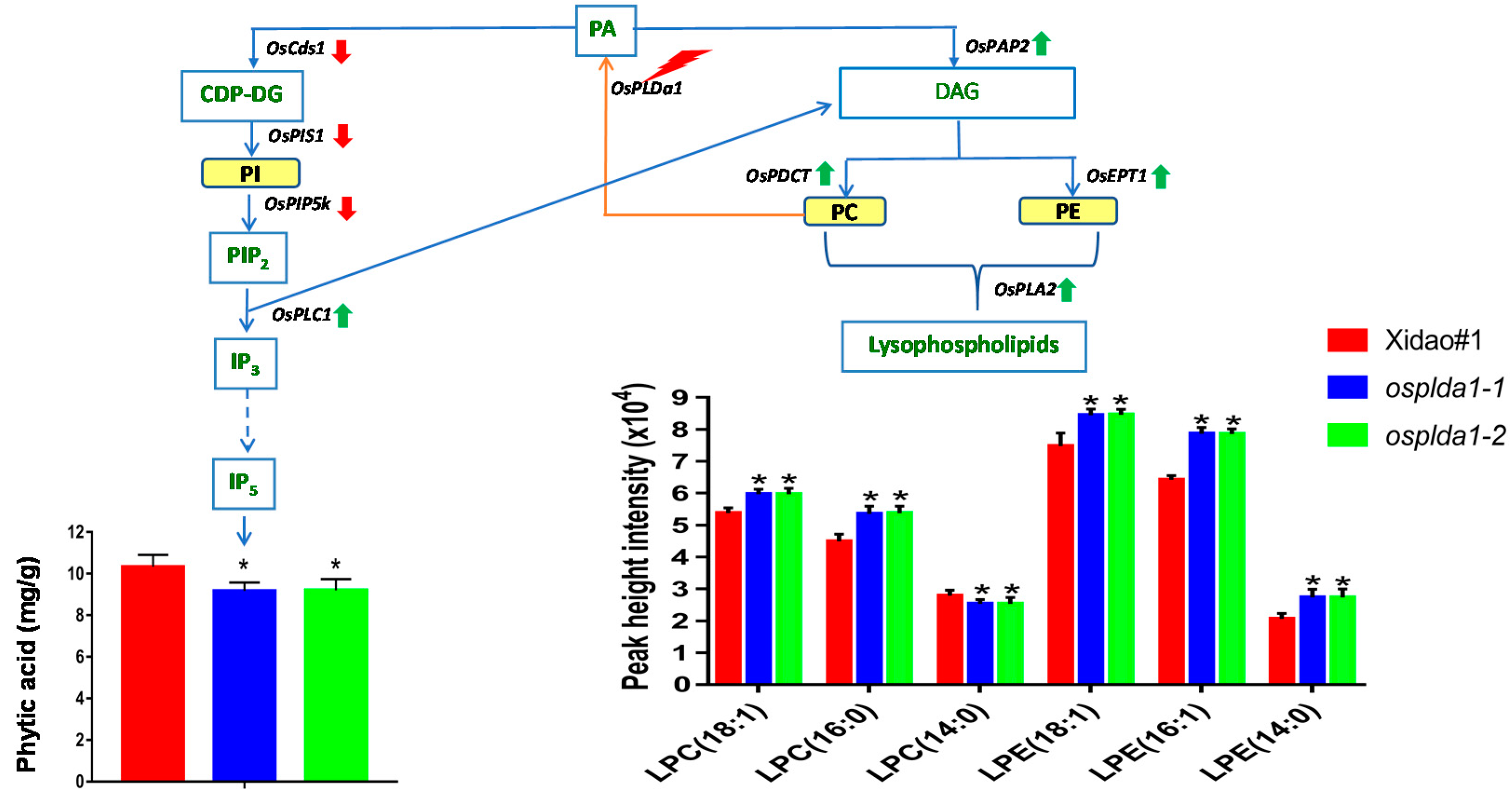 Plants 09 00390 g001 Plants 09 00390 g001
