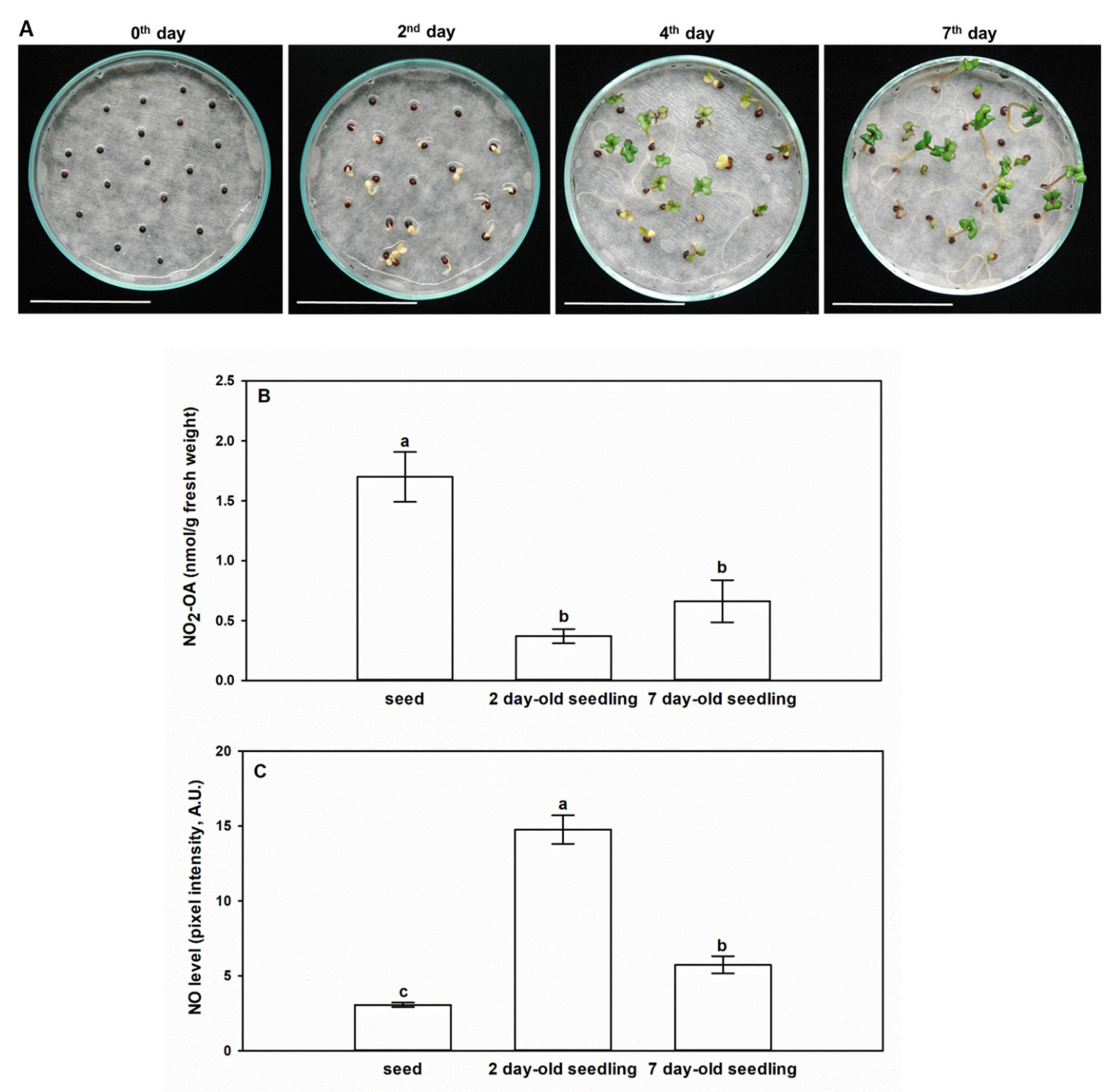 Plants 09 00406 g003