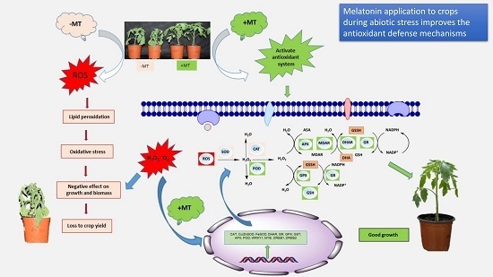 Plants | Special Issue : Mechanisms of Plant Antioxidants Action