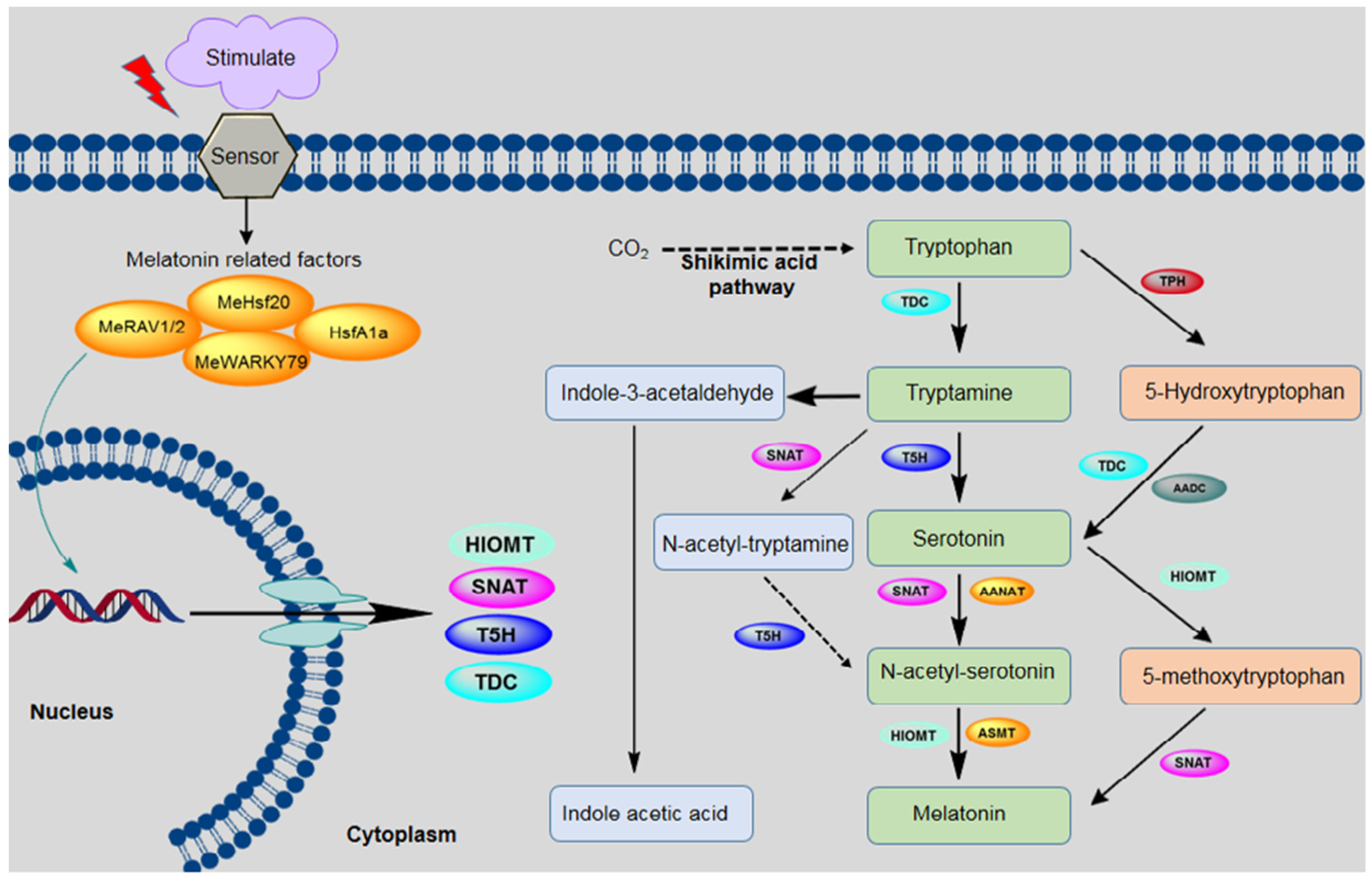 Plants 09 00407 g001 Plants 09 00407 g001
