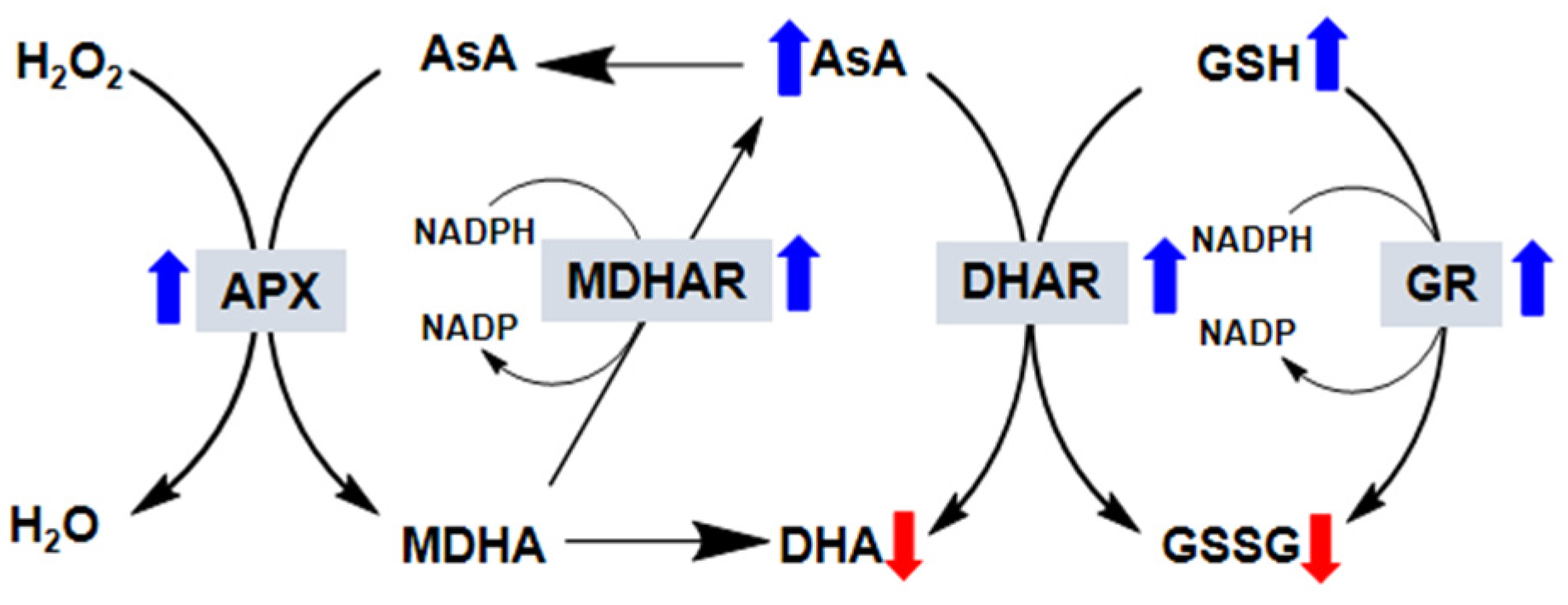 Plants 09 00407 g002 Plants 09 00407 g002