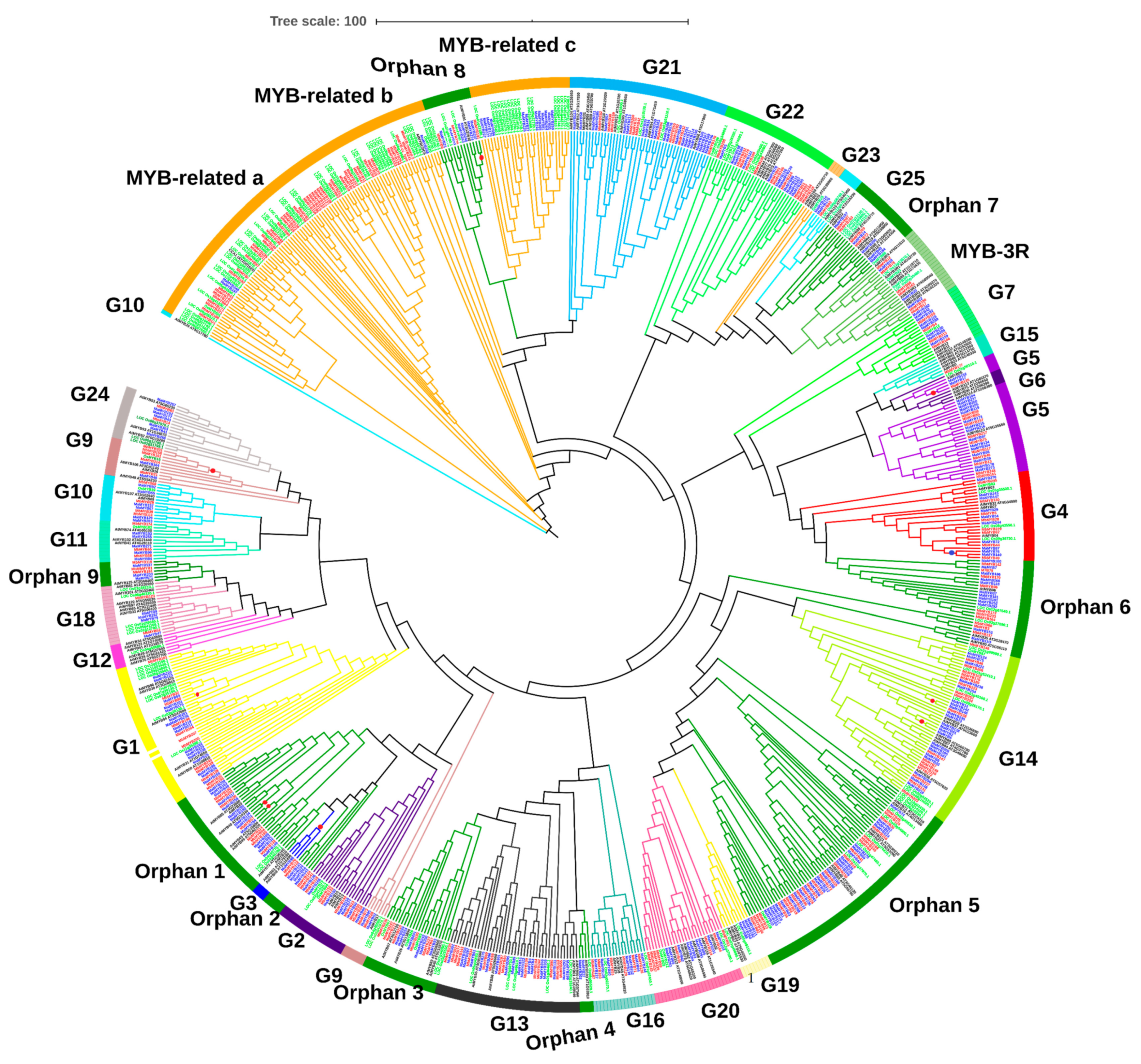 Plants 09 00413 g004 Plants 09 00413 g004