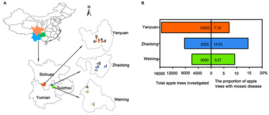 Incidence and Molecular Identification of Apple Necrotic