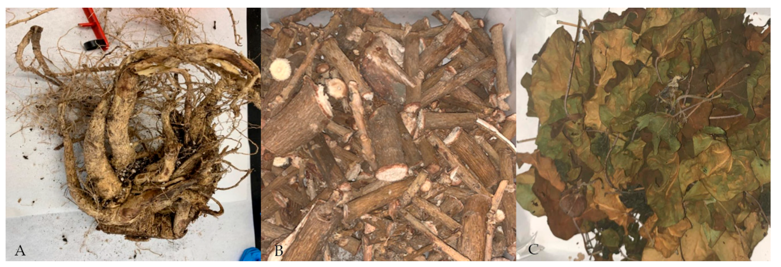 Plants 09 00418 g009