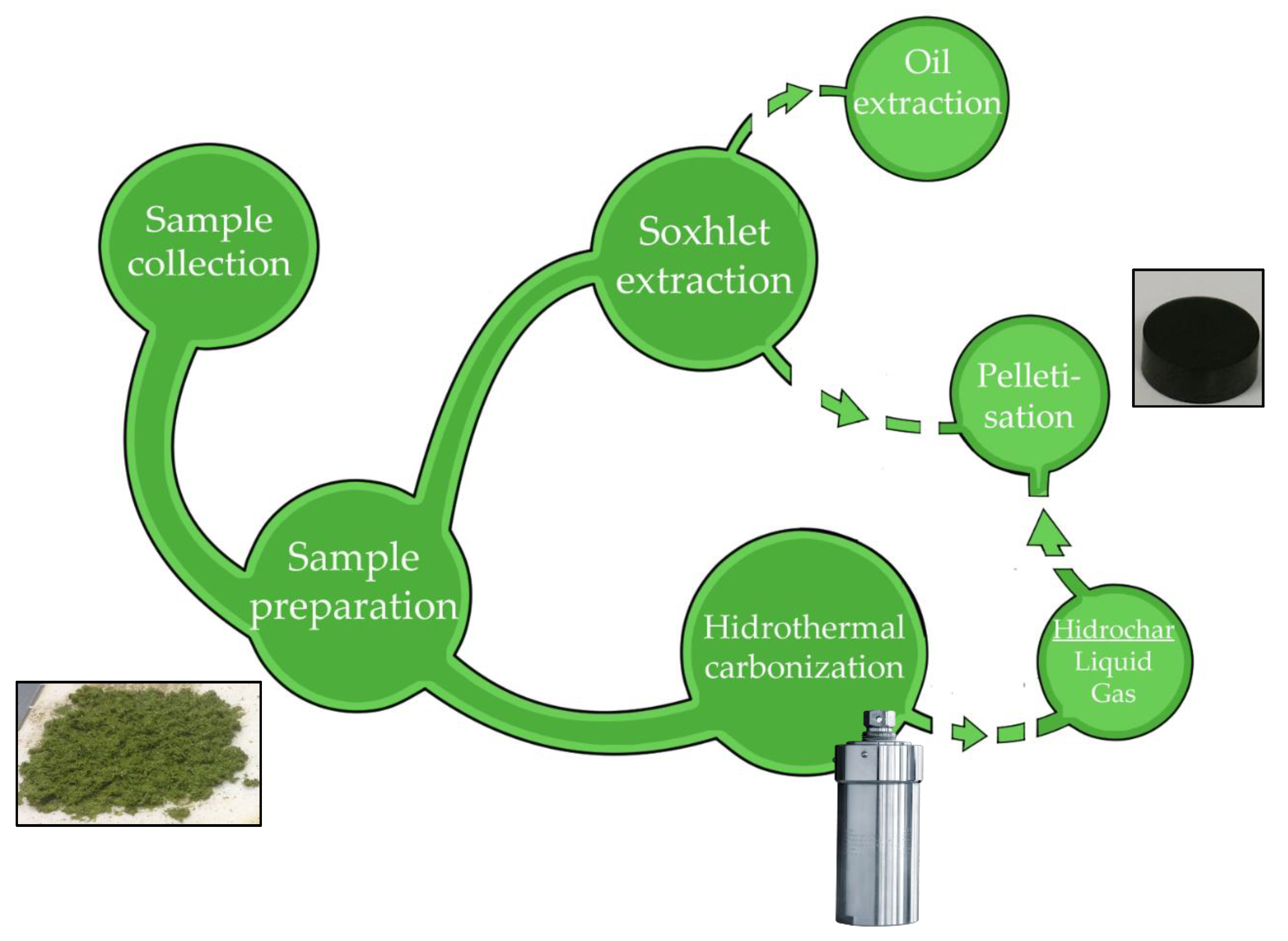 Plants 09 00425 g001