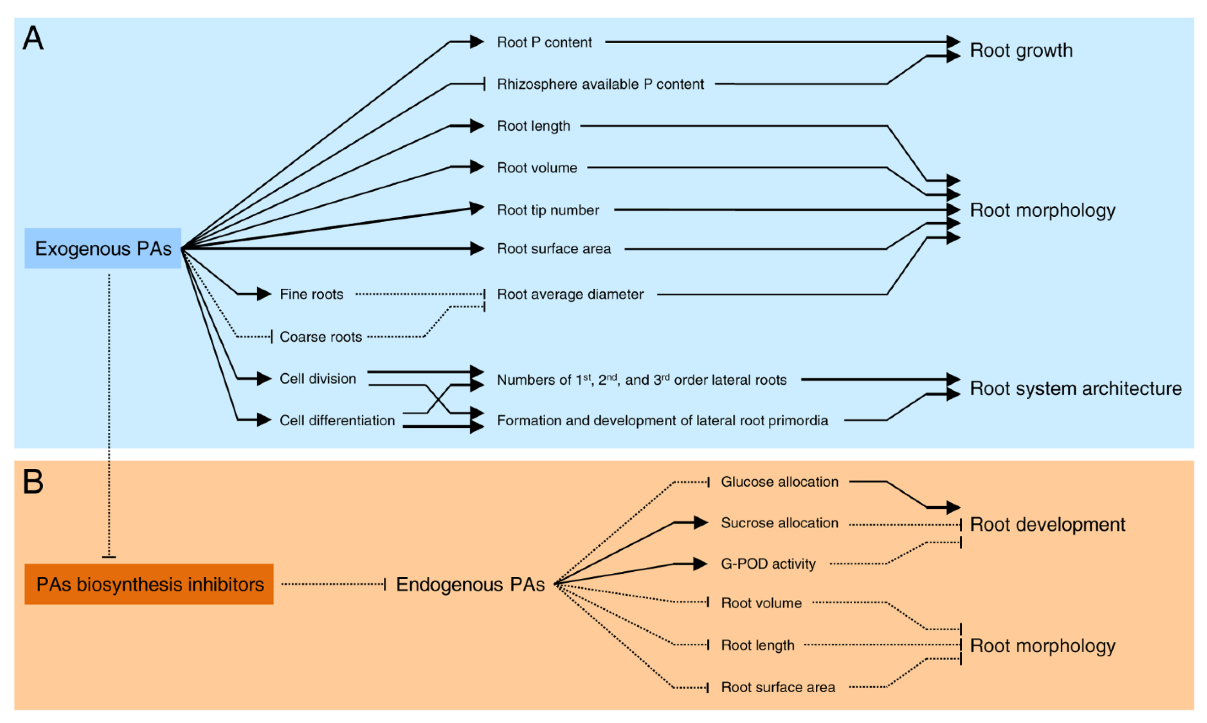 Plants 09 00426 g003