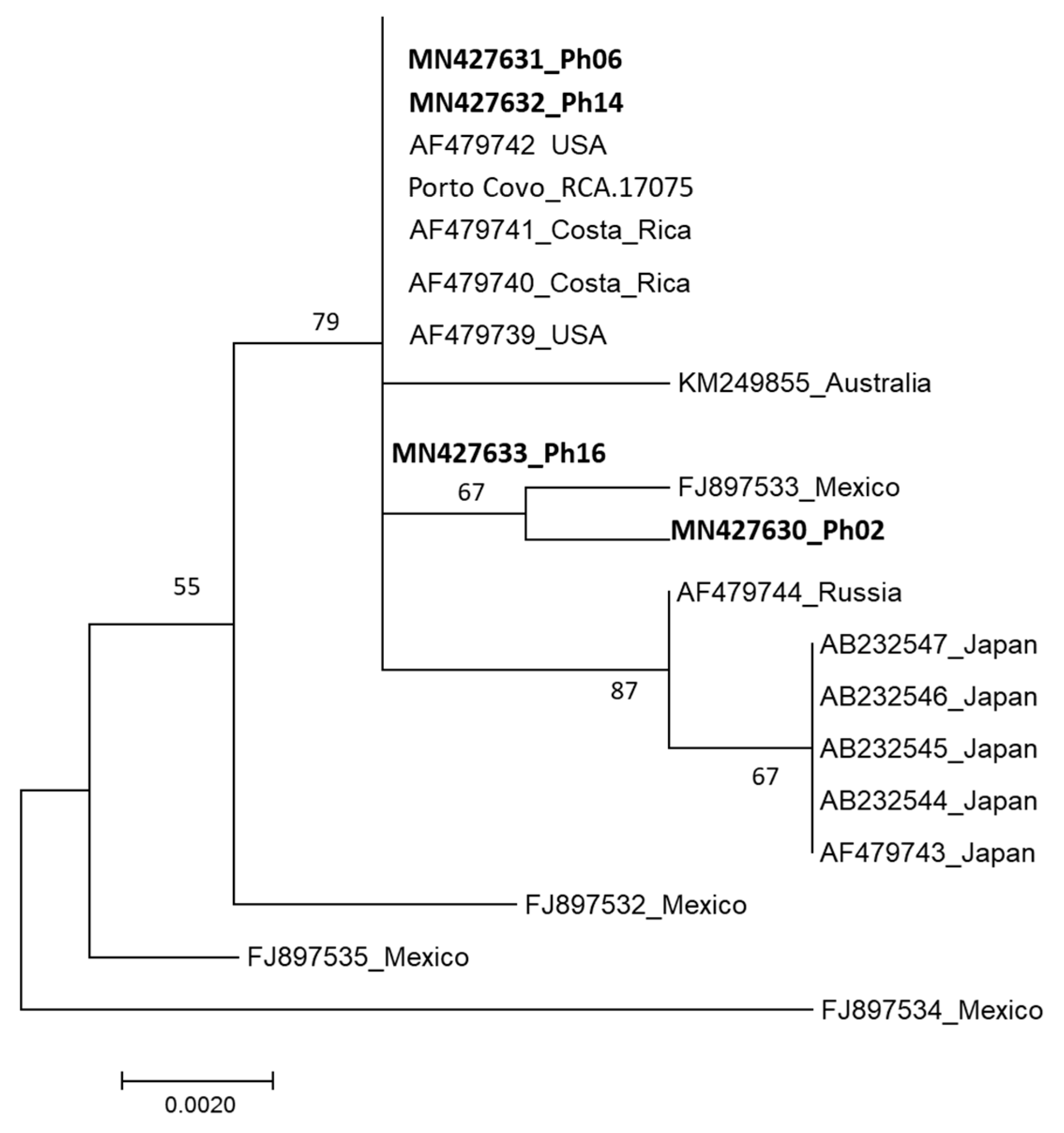 Plants 09 00427 g003