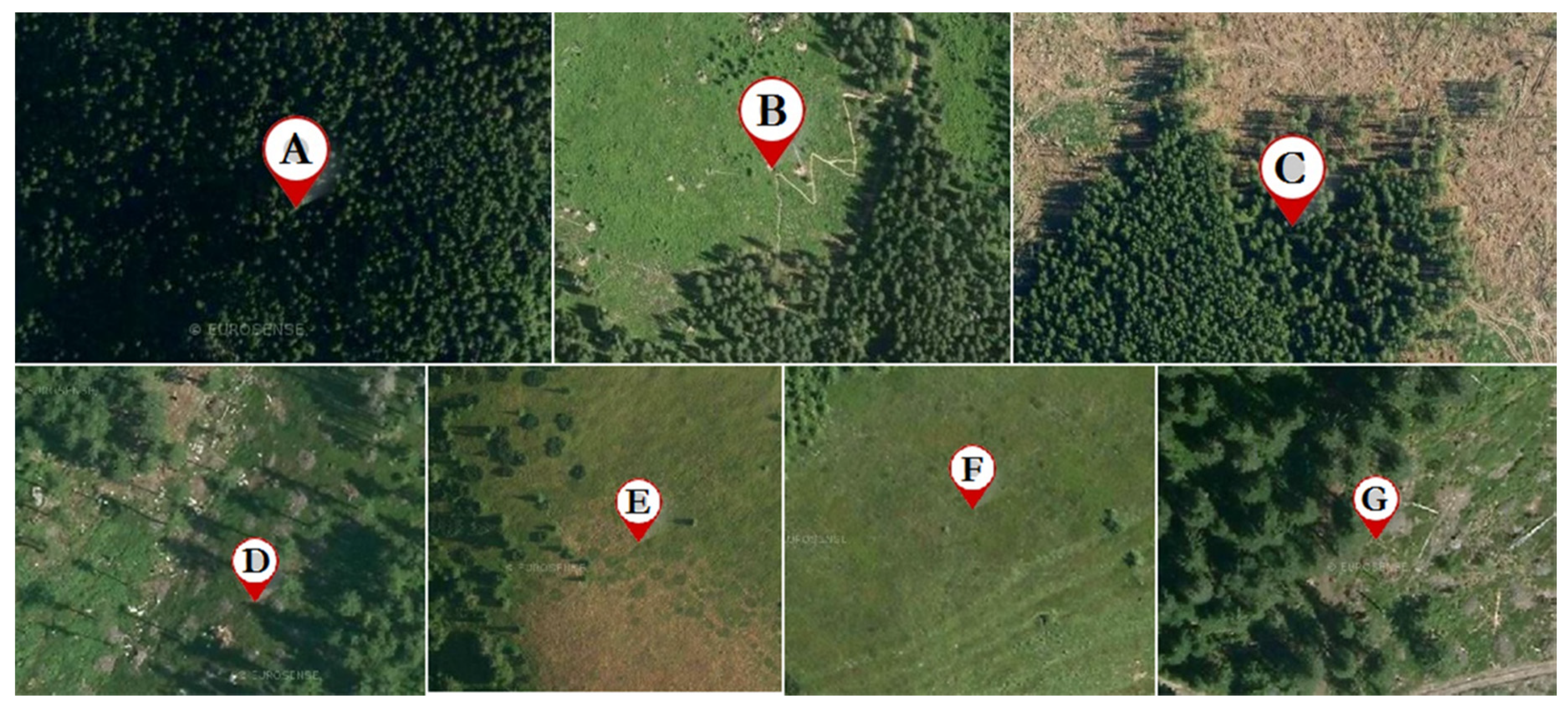 Plants 09 00436 g002