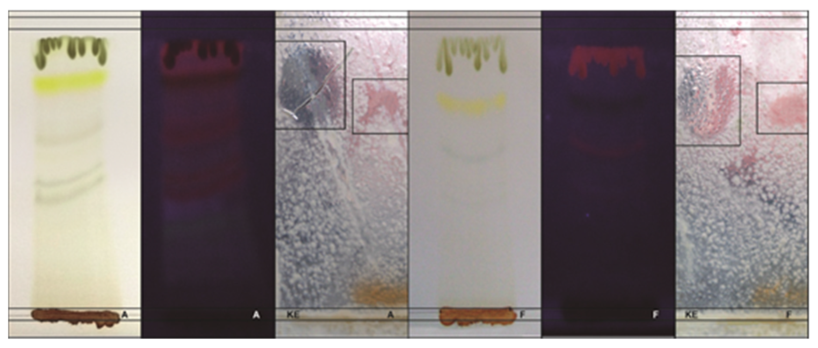 Plants 09 00438 g001 Plants 09 00438 g001