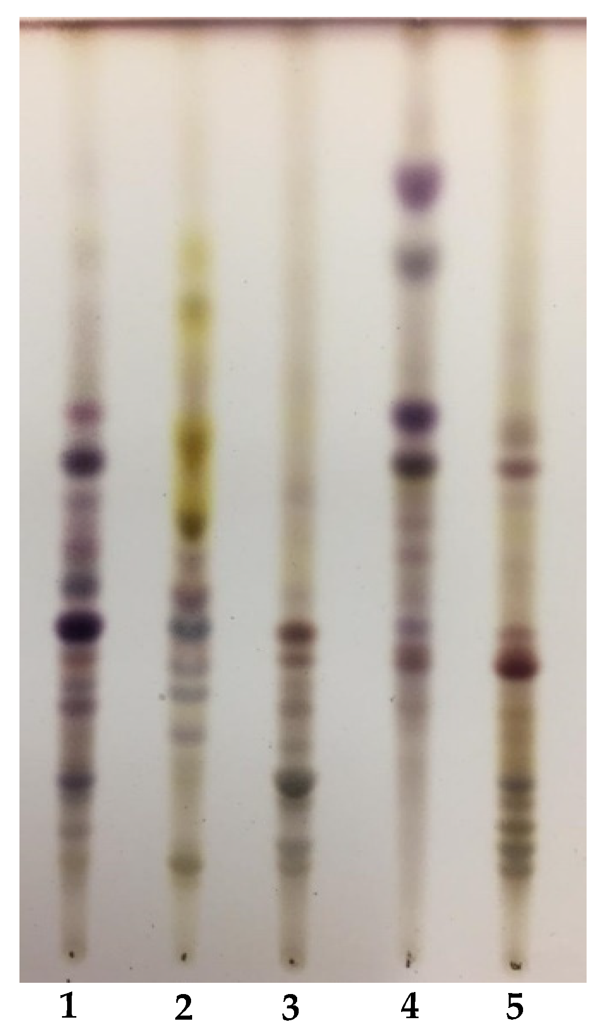 Plants 09 00443 g001