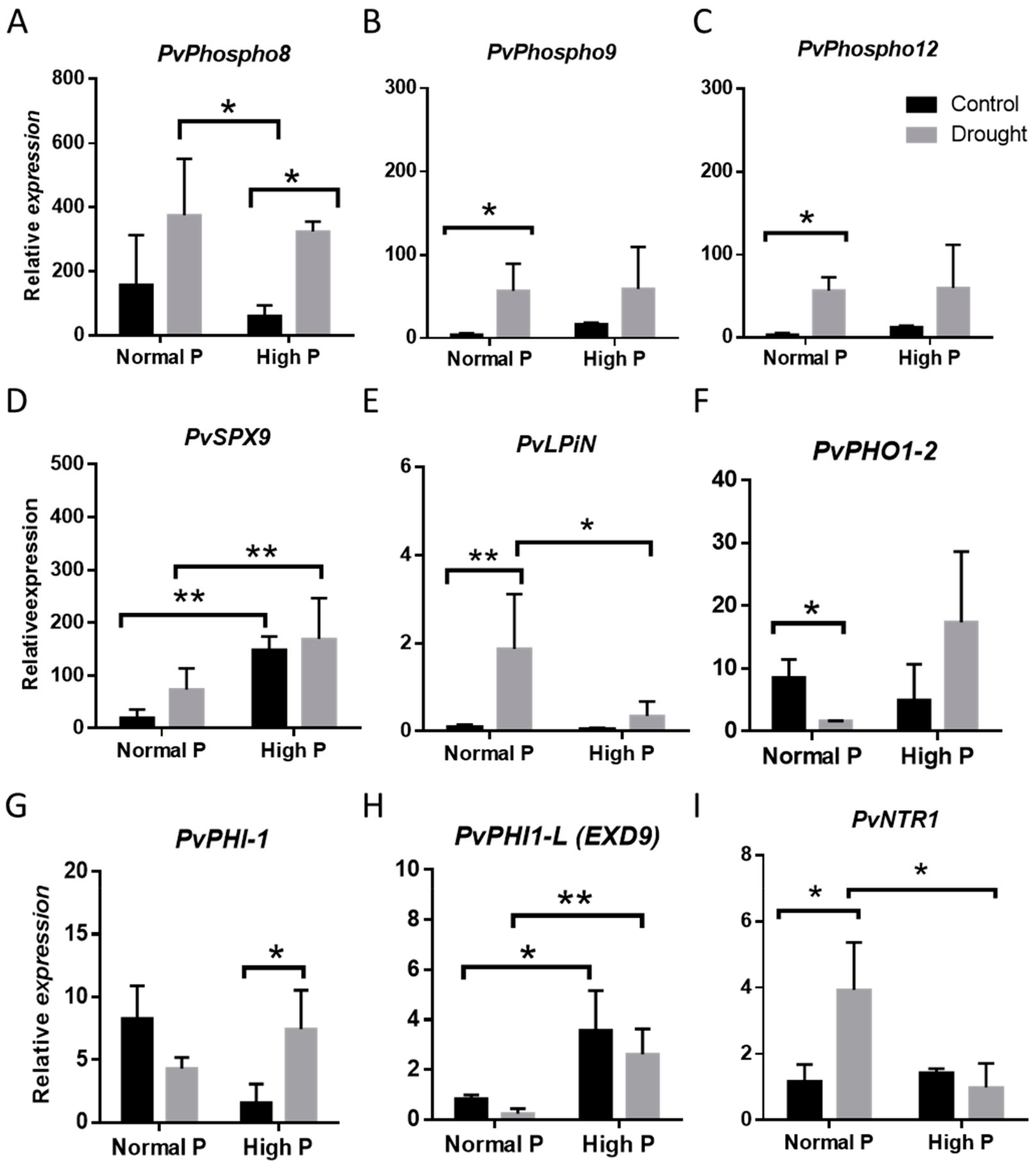 Plants 09 00445 g004