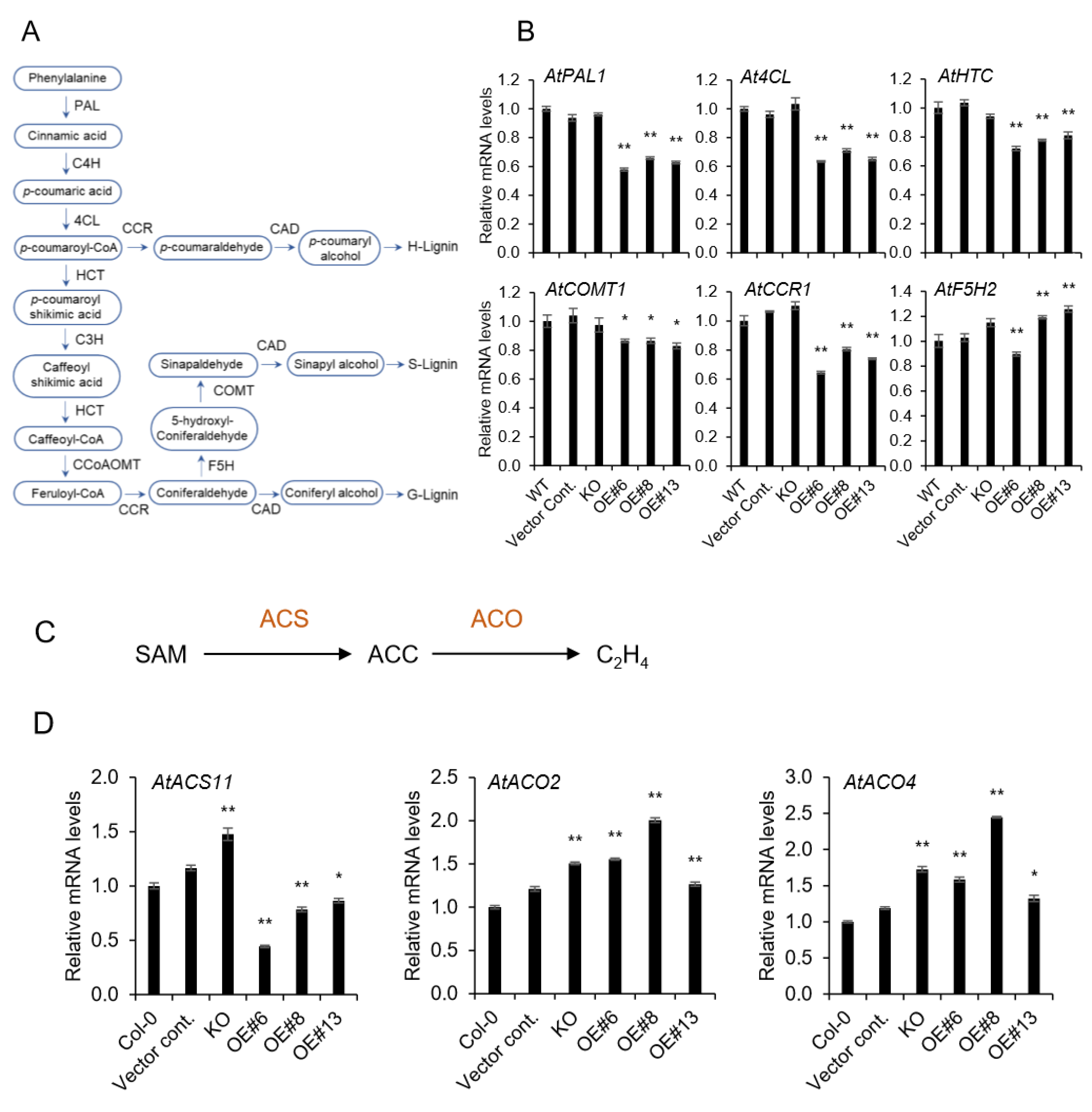Plants 09 00451 g003