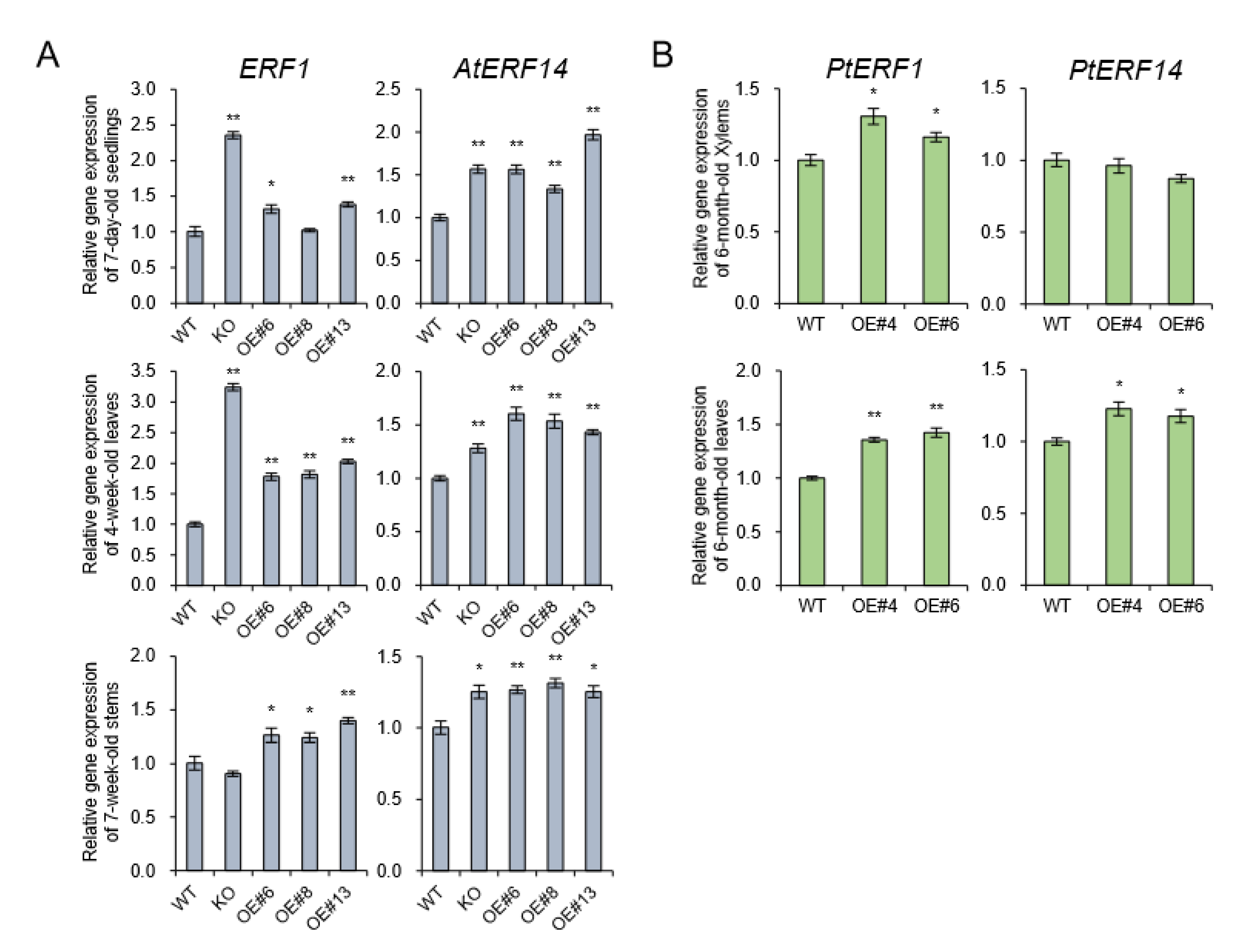 Plants 09 00451 g008