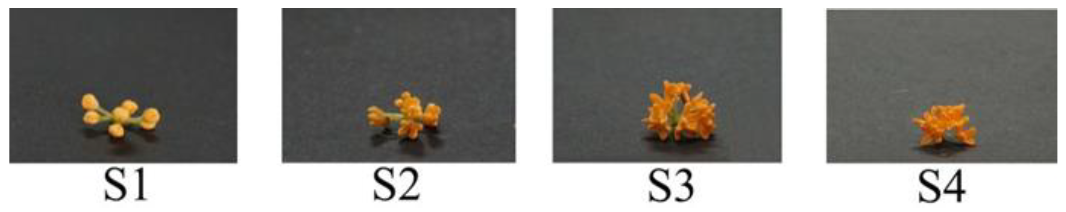 Plants 09 00454 g003 Plants 09 00454 g003