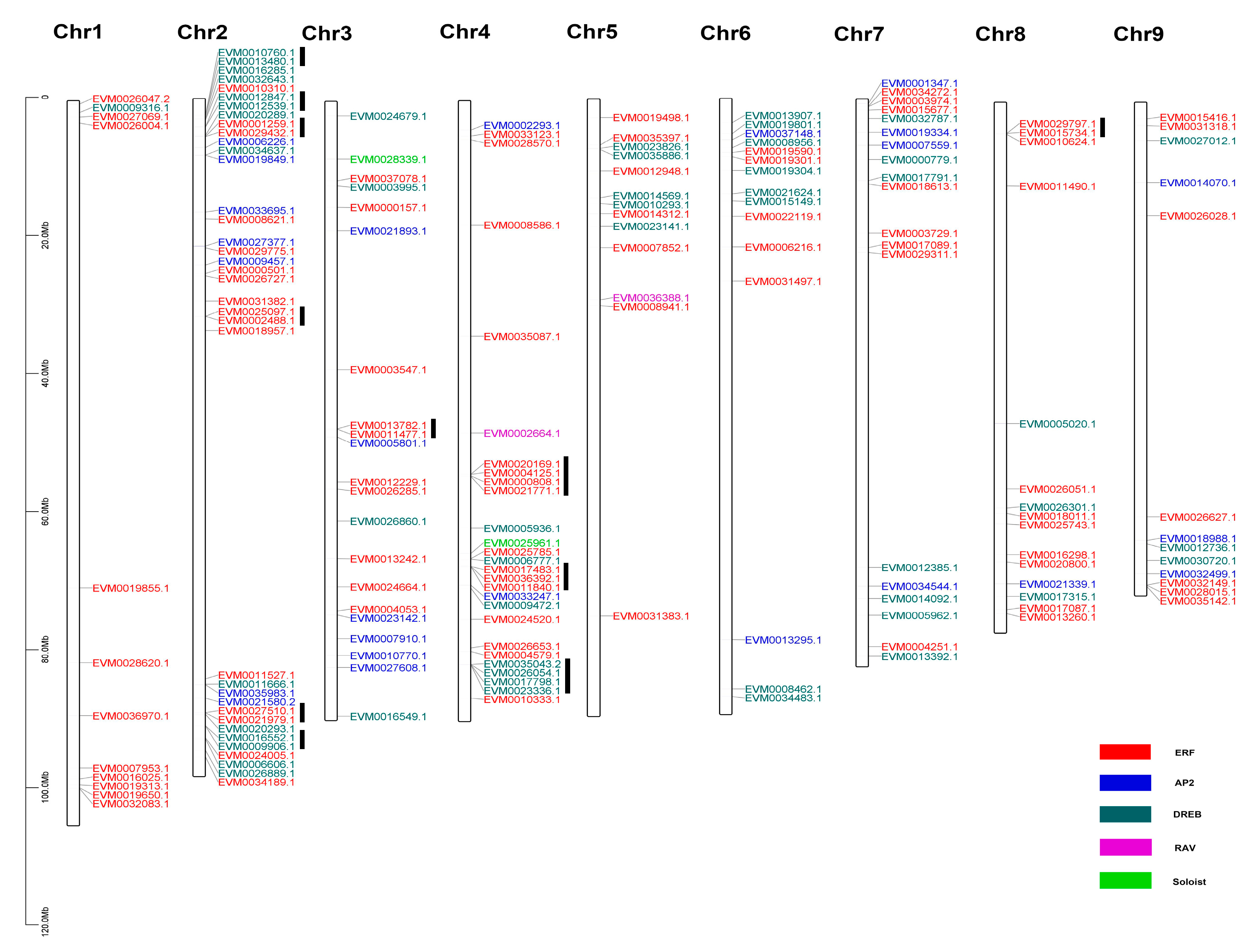 Plants 09 00455 g005 Plants 09 00455 g005
