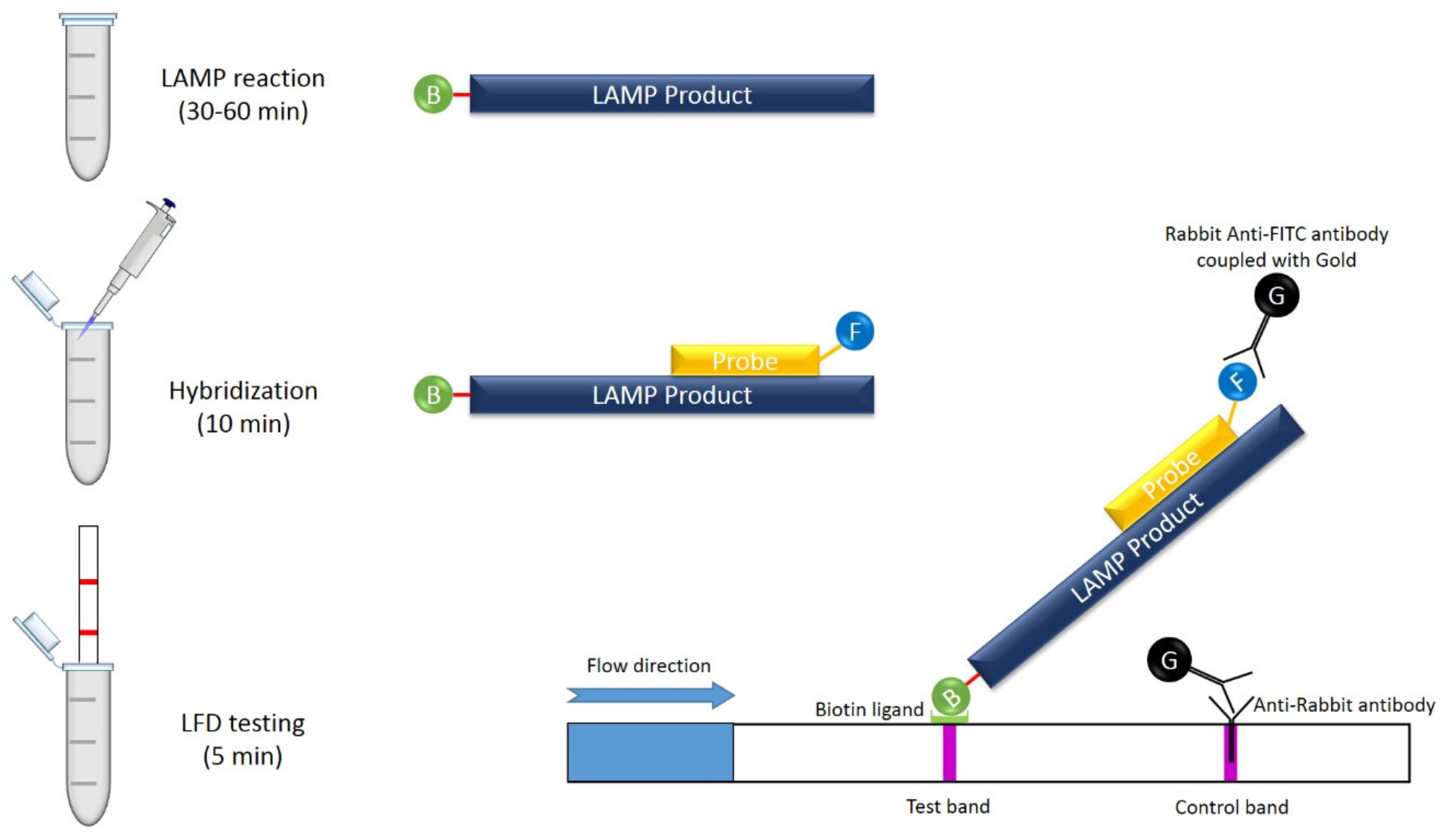 Plants 09 00461 g006
