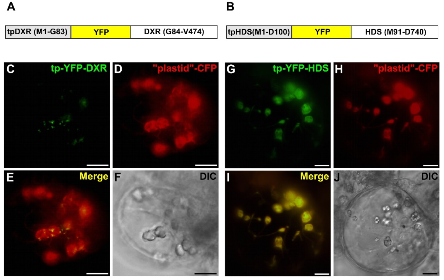 Plants 09 00462 g008 Plants 09 00462 g008