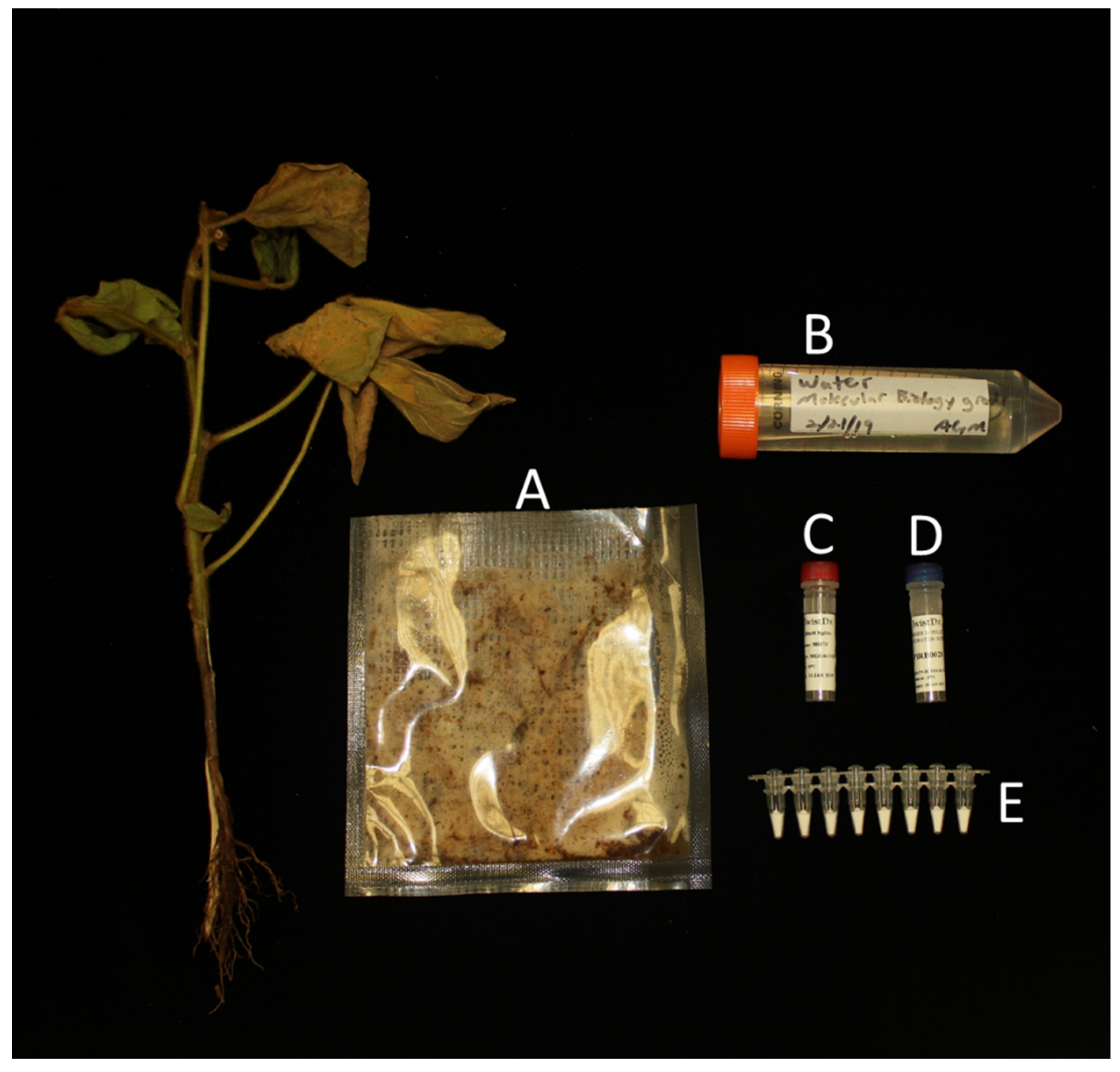 Plants 09 00466 g003