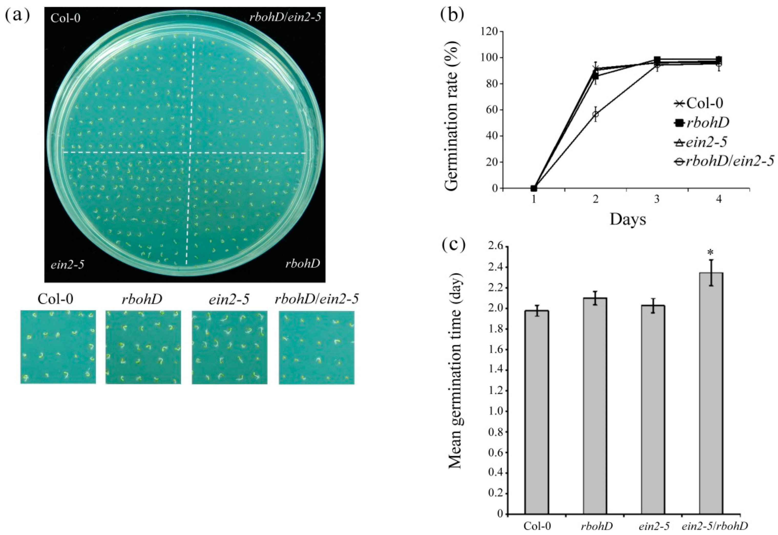 Plants 09 00471 g002