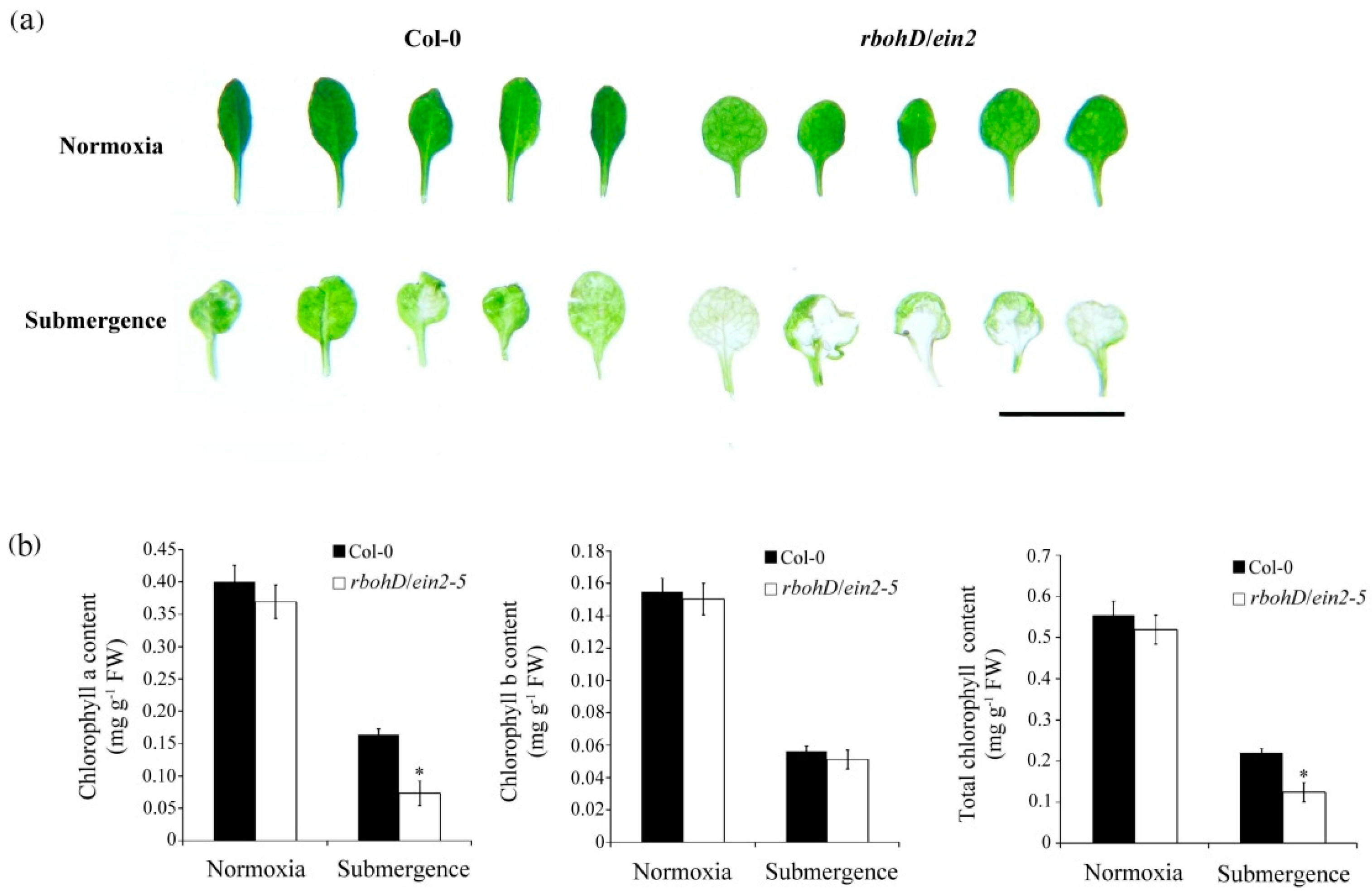 Plants 09 00471 g005