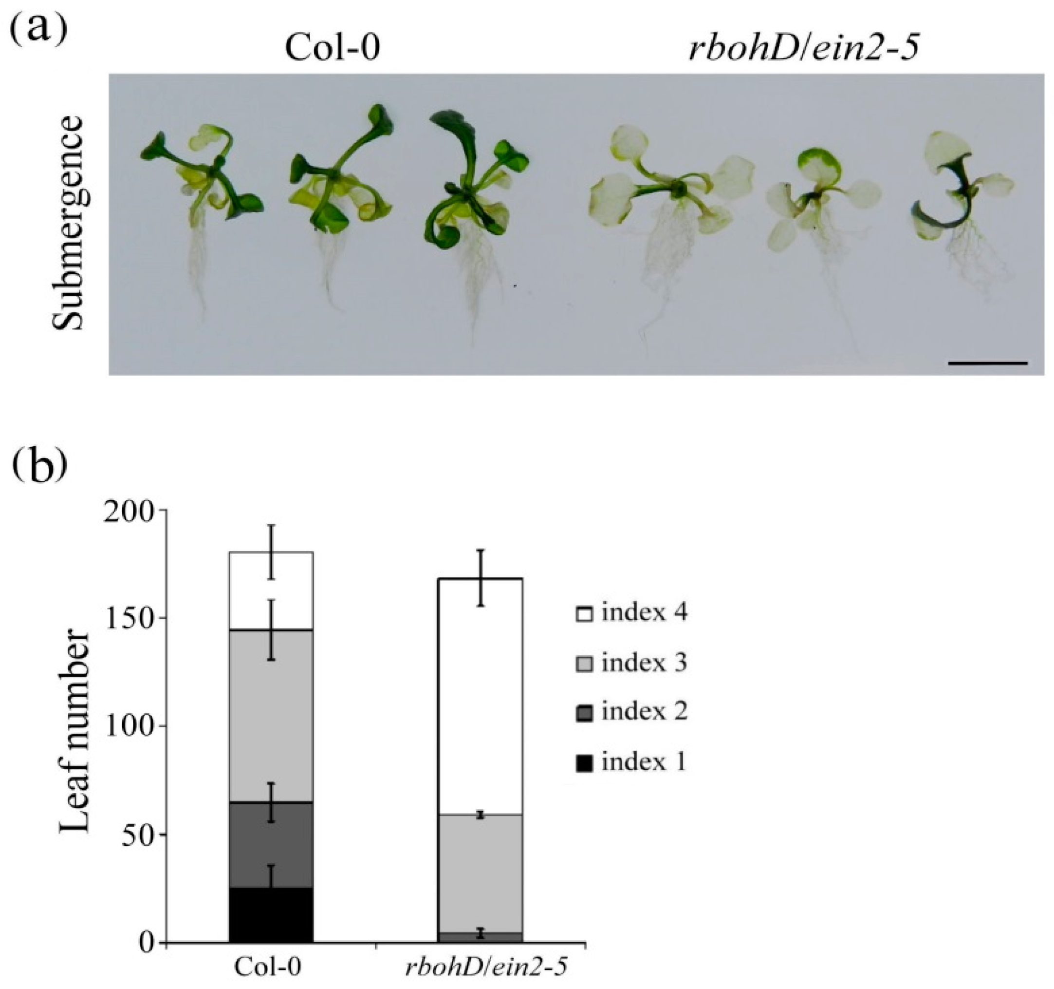 Plants 09 00471 g006