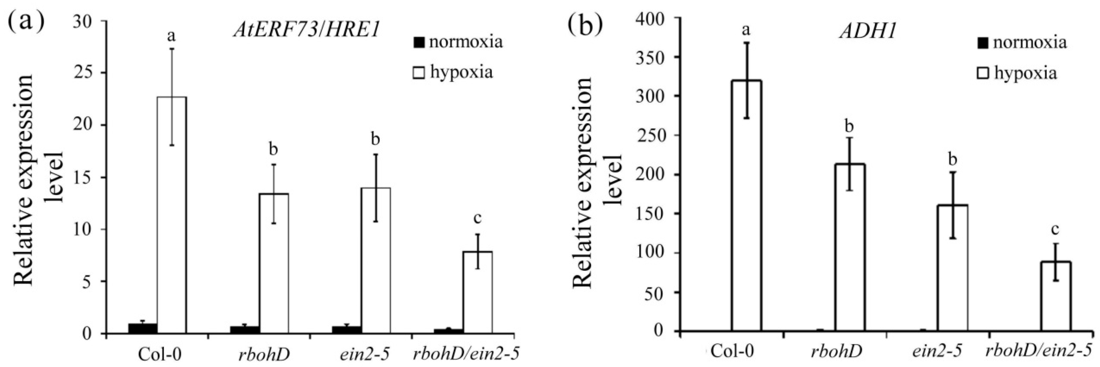 Plants 09 00471 g007