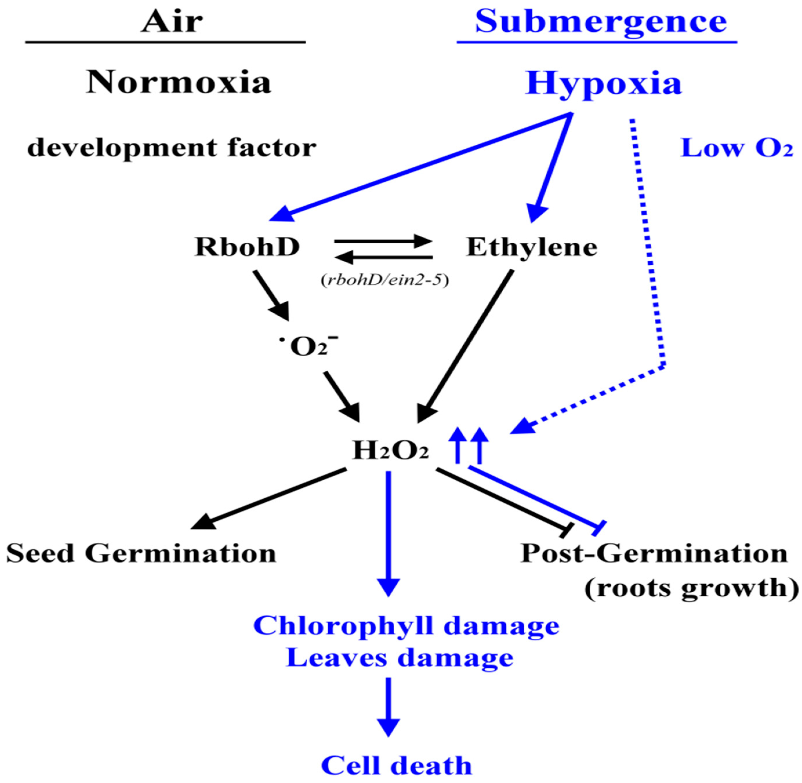 Plants 09 00471 g008